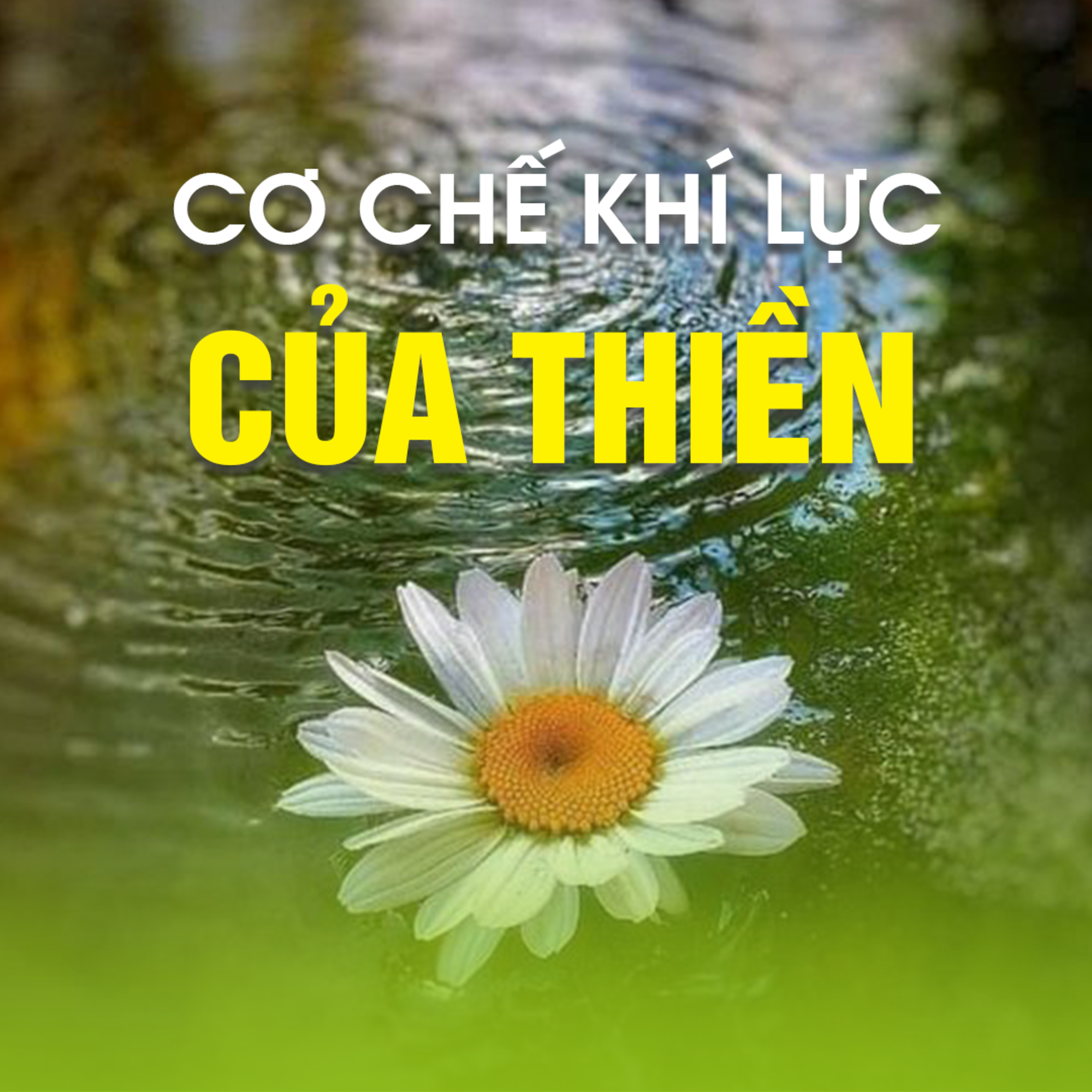 CƠ CHẾ KHÍ LỰC CỦA THIỀN B