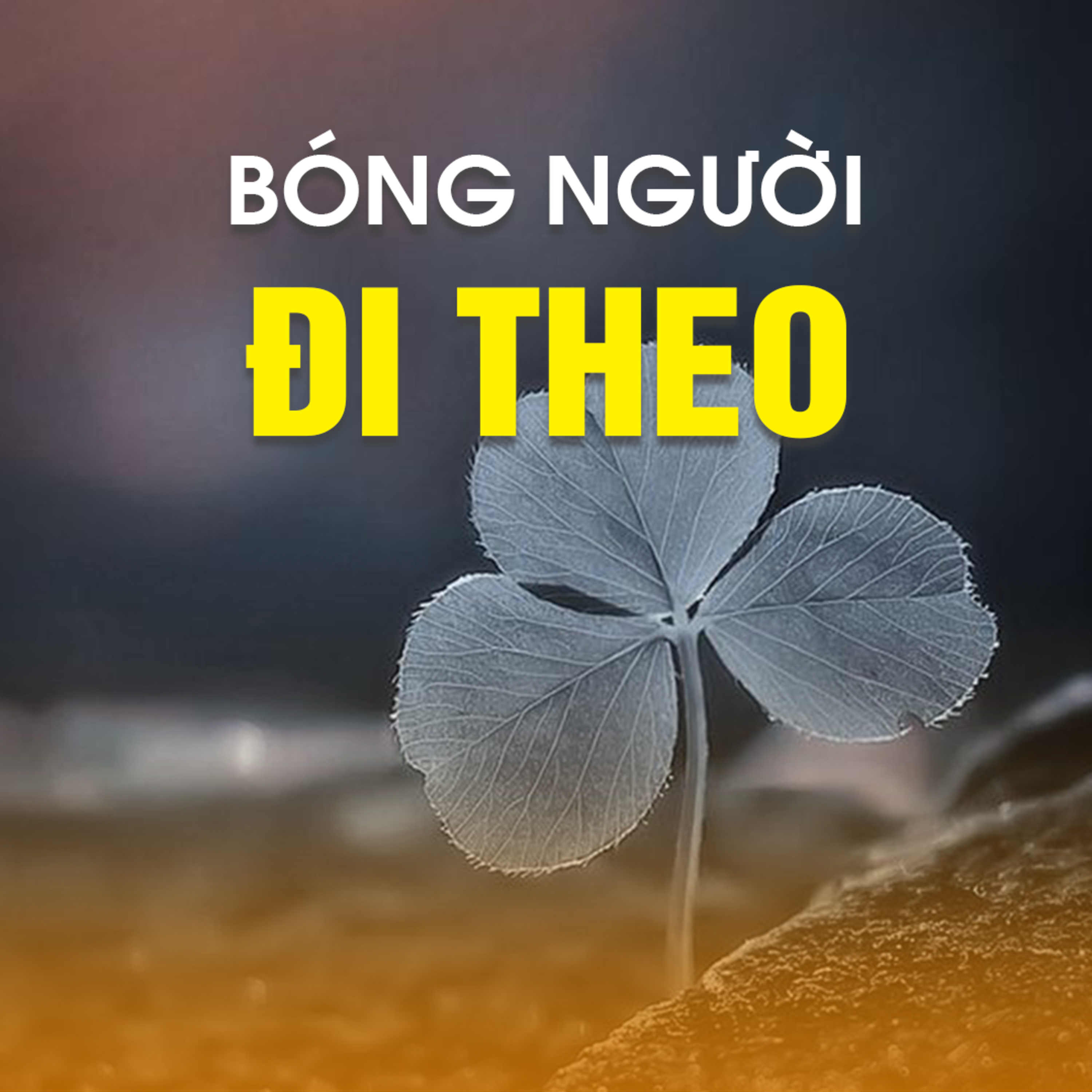 BÓNG NGƯỜI ĐI THEO B - Pháp Cú 45 