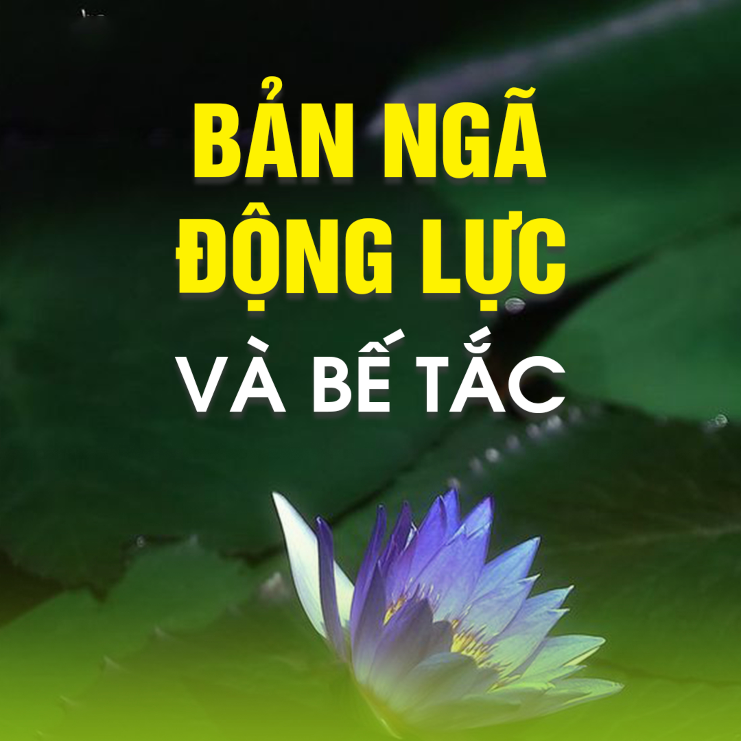 BẢN NGÃ ĐỘNG LỰC VÀ BẾ TẮC  episode artwork