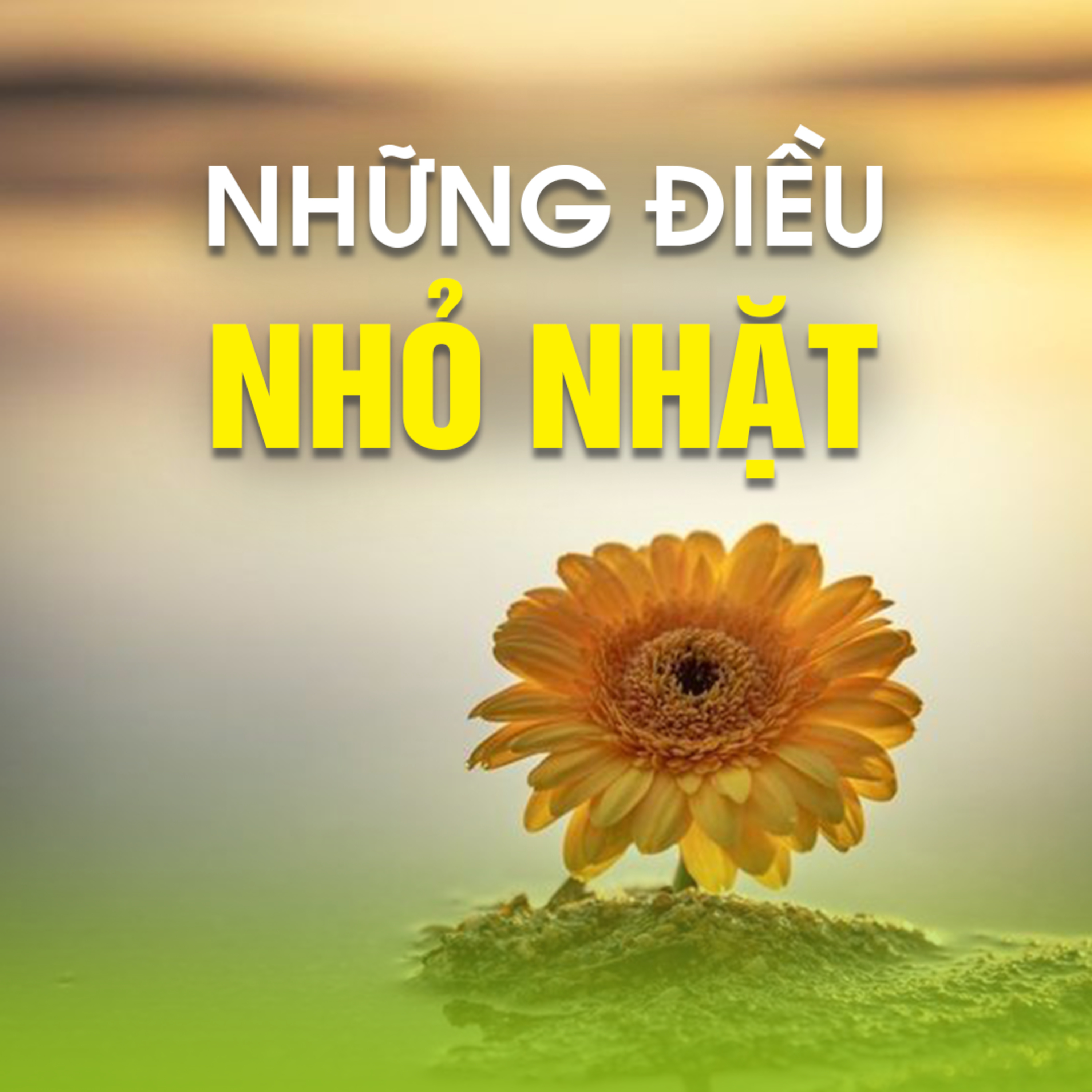 NHỮNG ĐIỀU NHỎ NHẶT  episode artwork