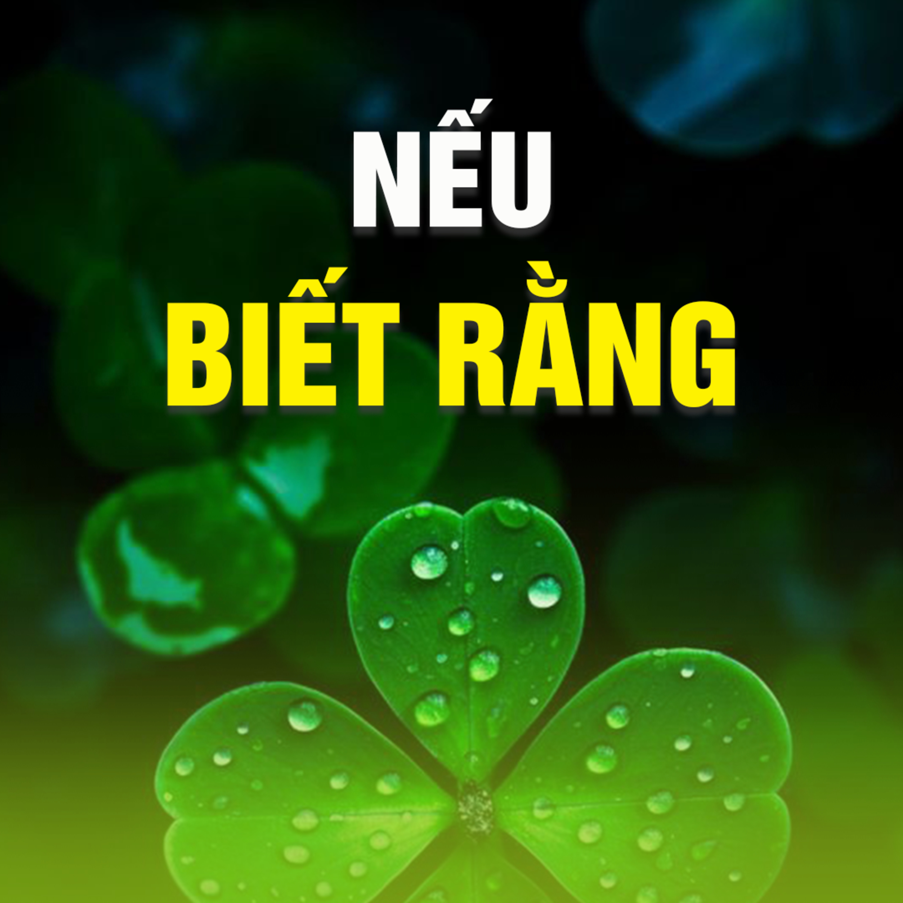 NẾU BIẾT RẰNG A episode artwork
