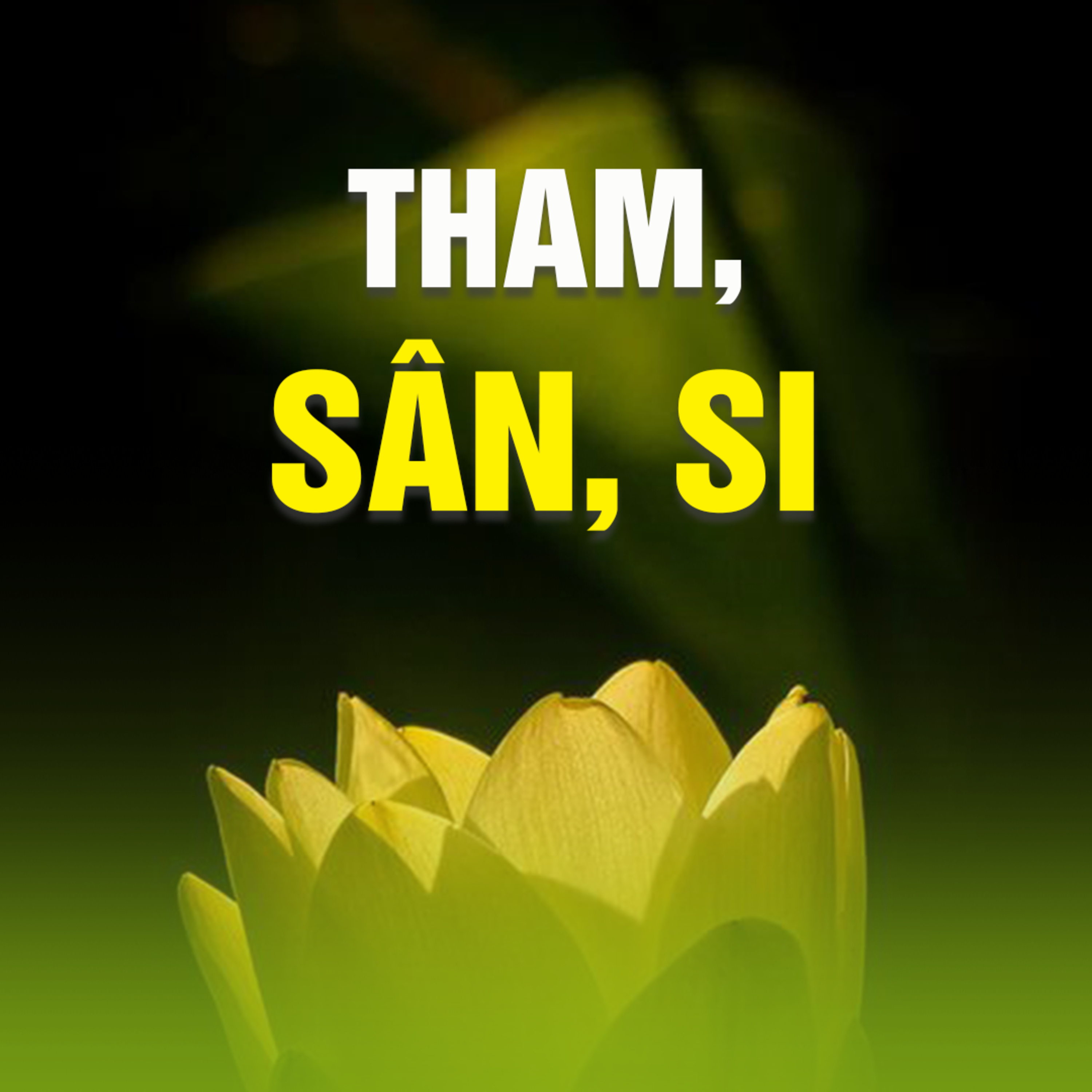 THAM, SÂN, SI  episode artwork