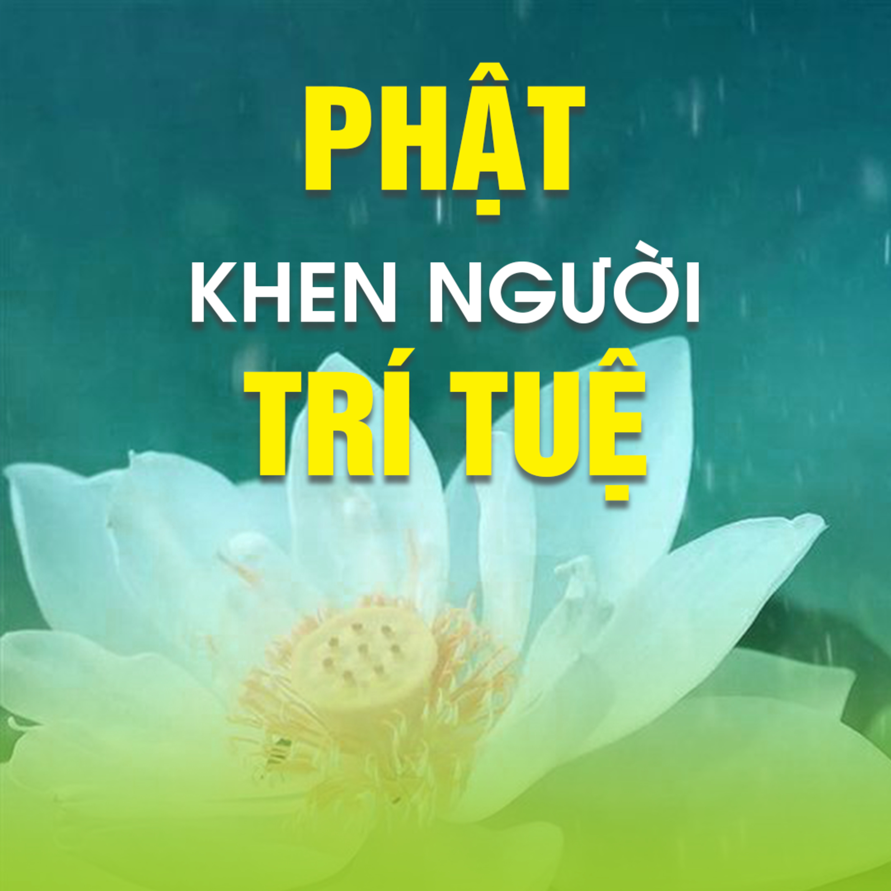 PHẬT KHEN NGƯỜI TRÍ TUỆ A - Pháp Cú 84 