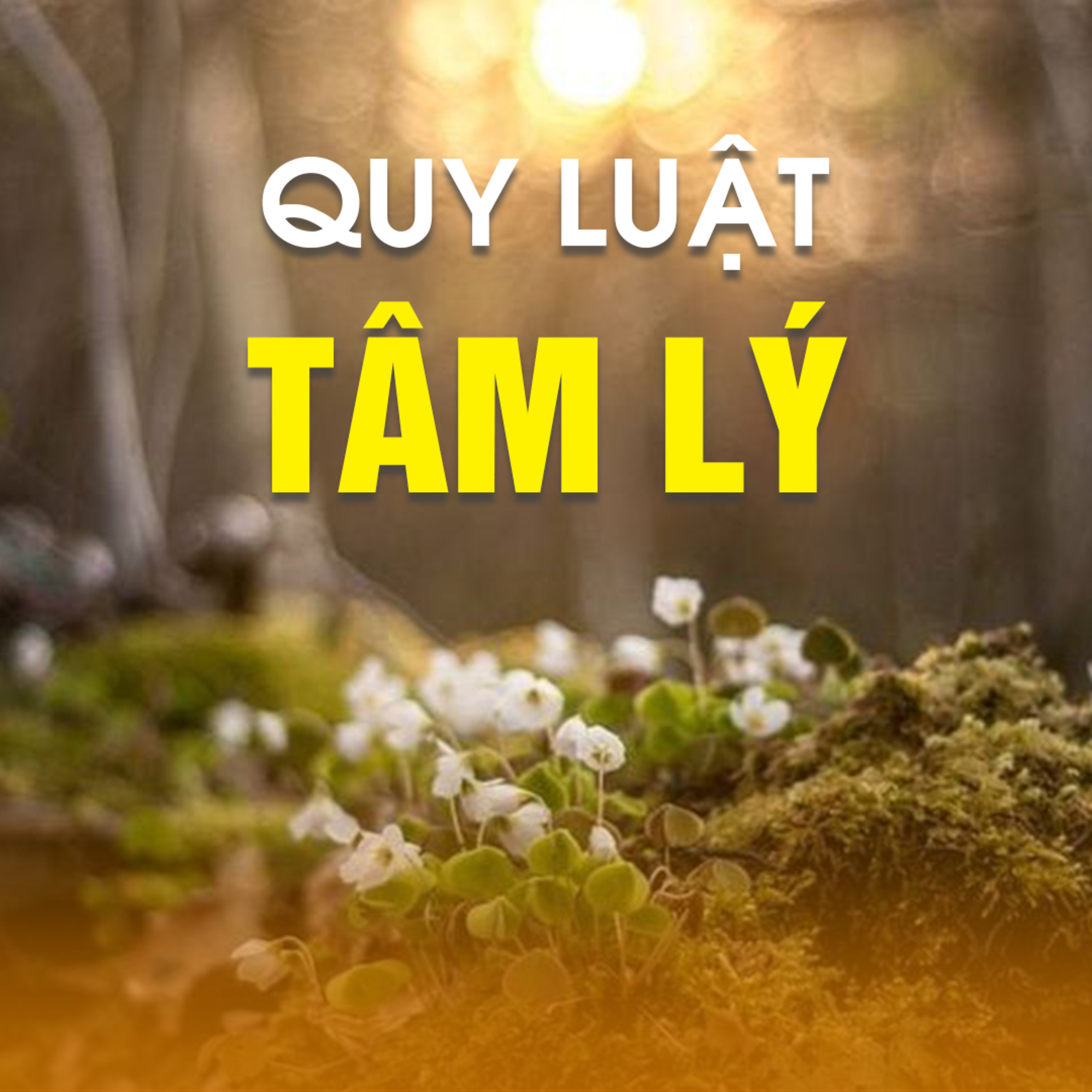 QUY LUẬT TÂM LÝ - Ngũ Uẩn 02 
