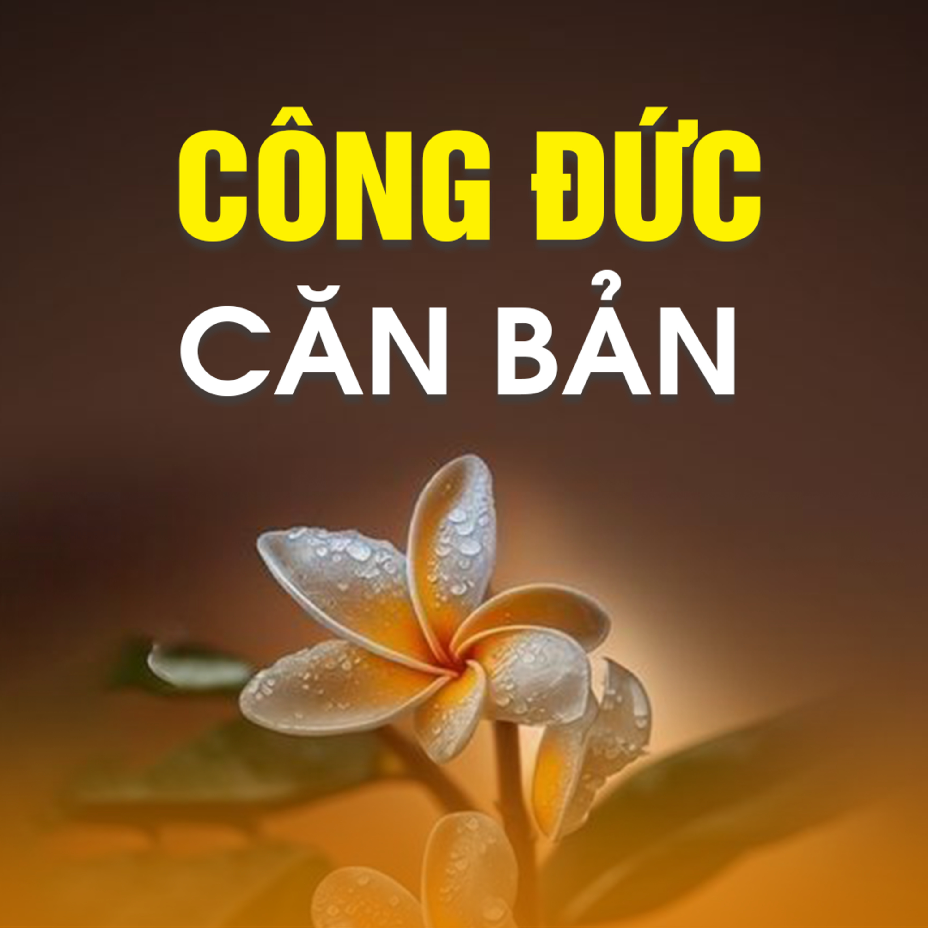 CÔNG ĐỨC CĂN BẢN  episode artwork