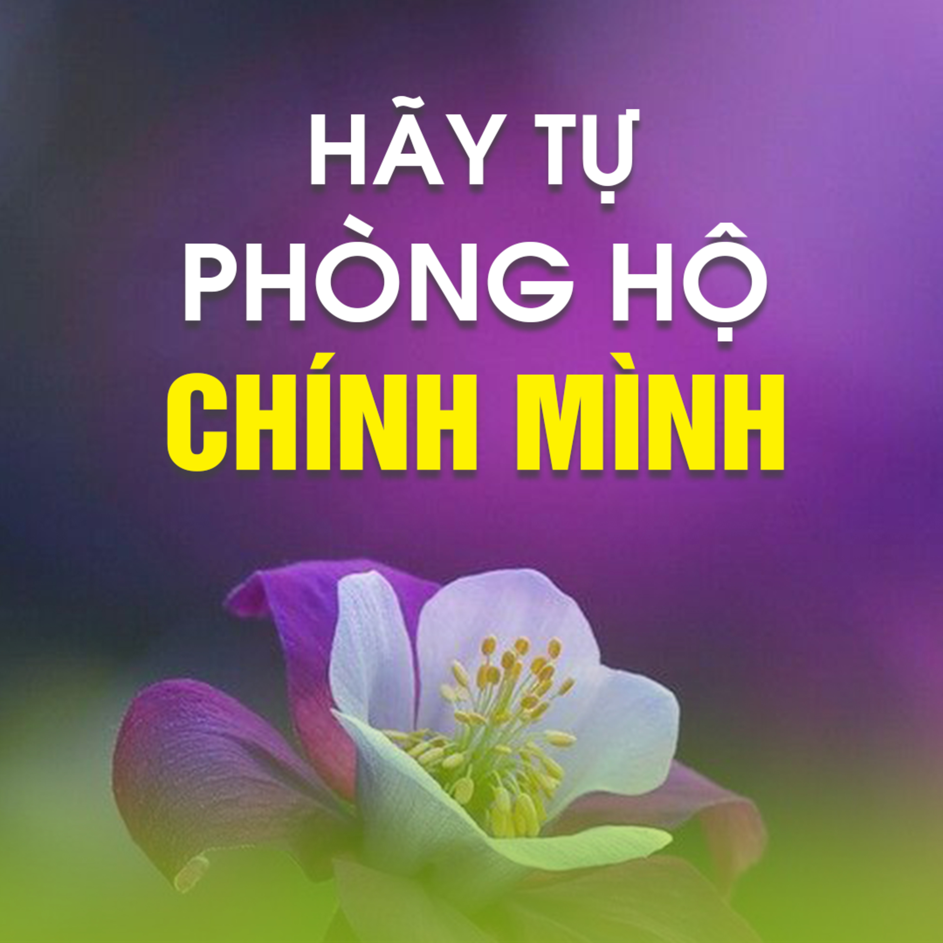 HÃY TỰ PHÒNG HỘ CHÍNH MÌNH A - Pháp Cú 81  episode artwork