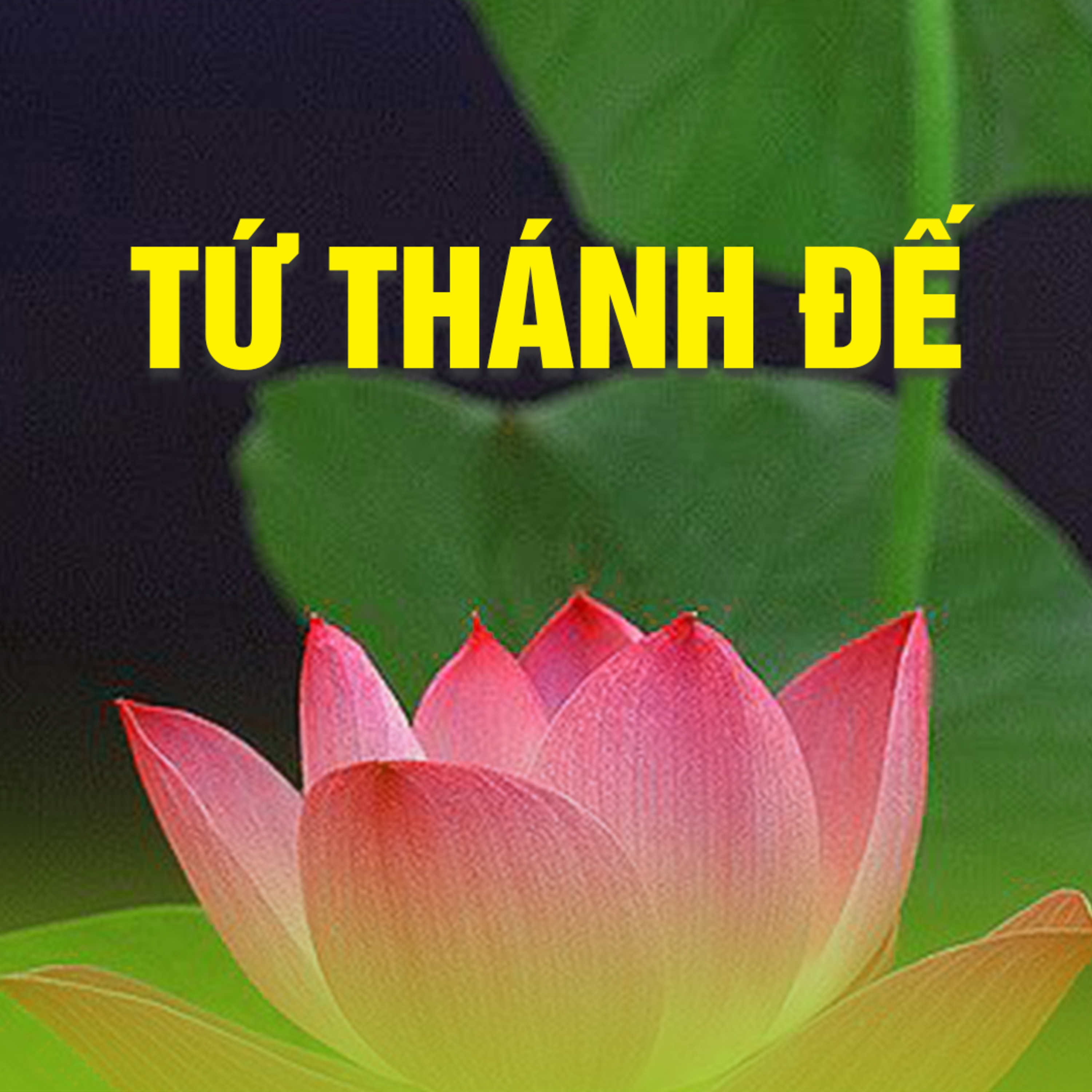 TỨ THÁNH ĐẾ - ĐẠO ĐẾ B episode artwork