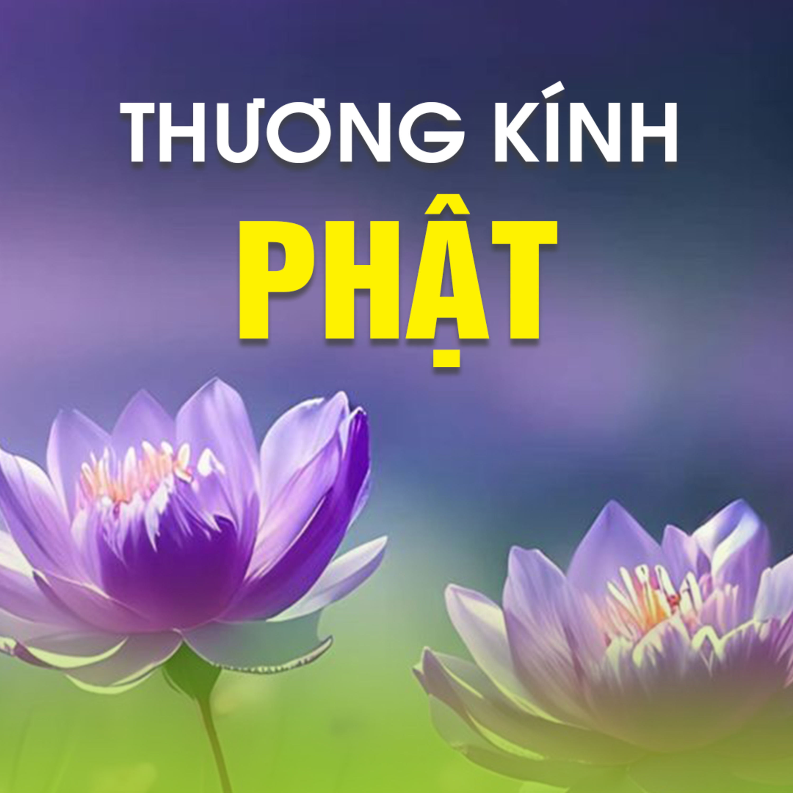 THƯƠNG KÍNH PHẬT A - Pháp Cú 77 episode artwork