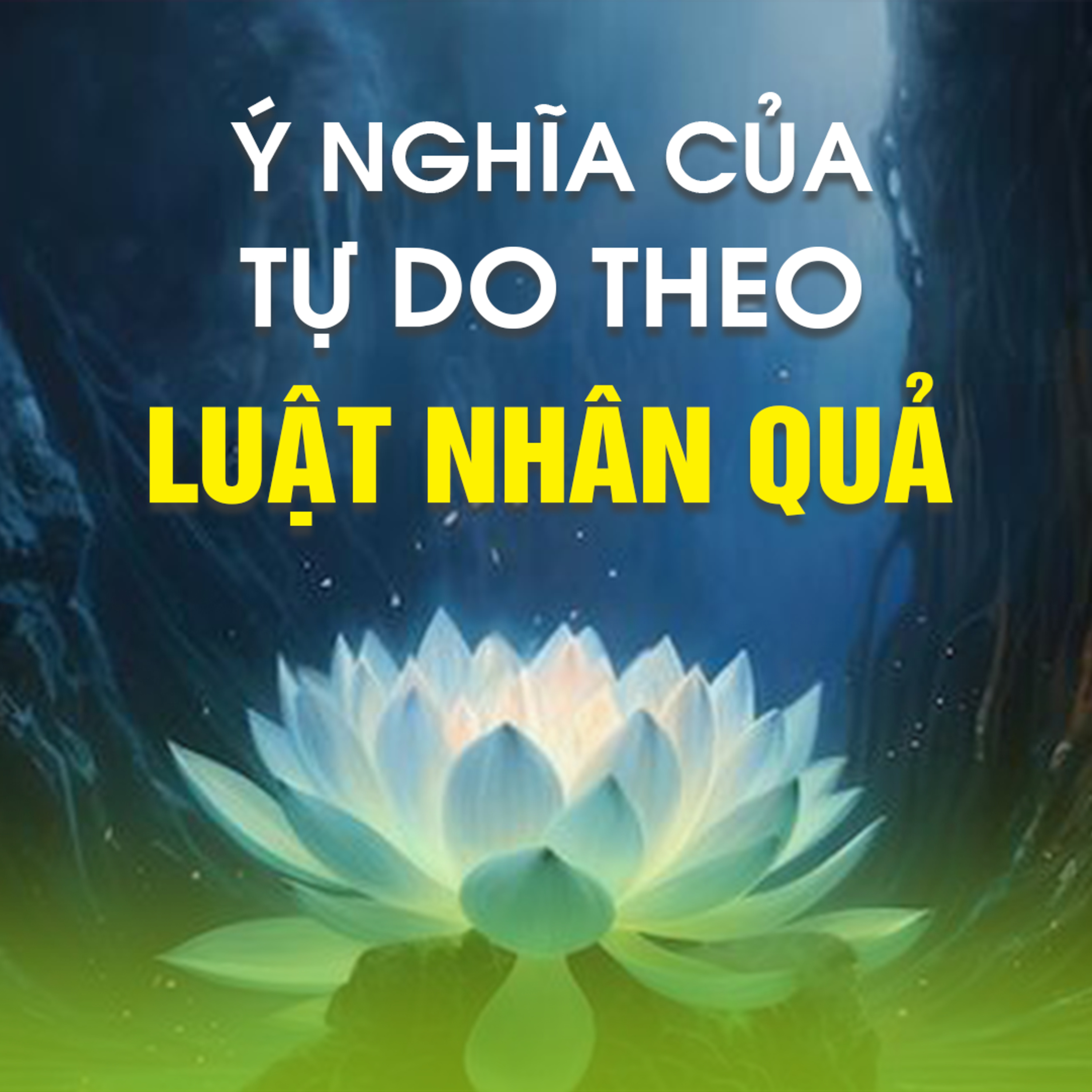 Ý NGHĨA CỦA TỰ DO THEO LUẬT NHÂN QUẢ A episode artwork
