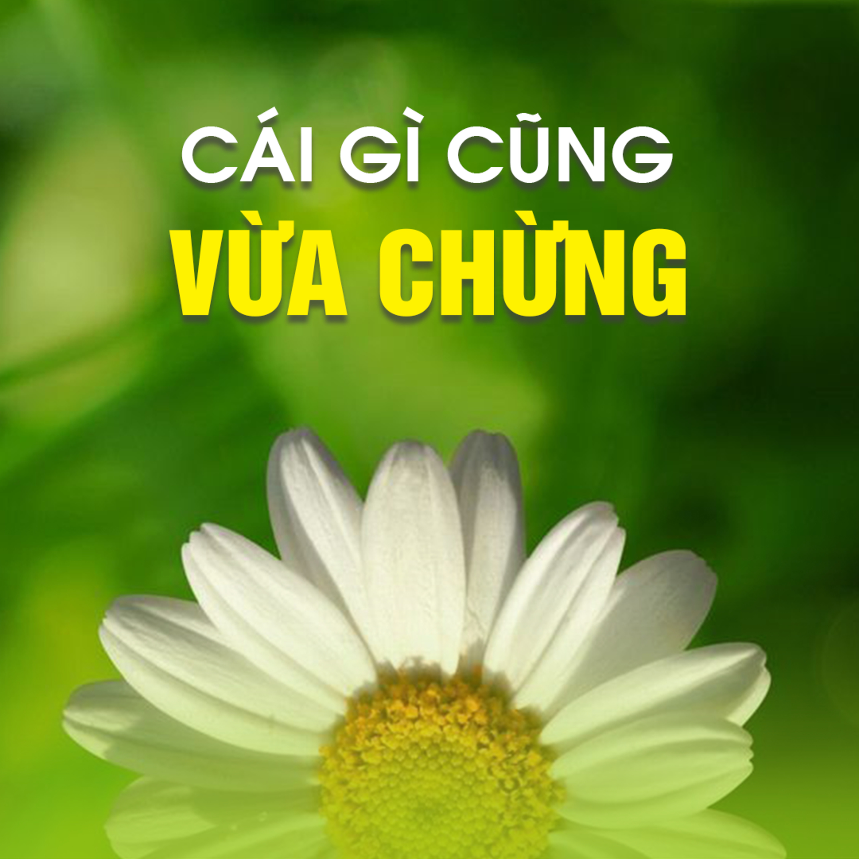 CÁI GÌ CŨNG VỪA CHỪNG  episode artwork