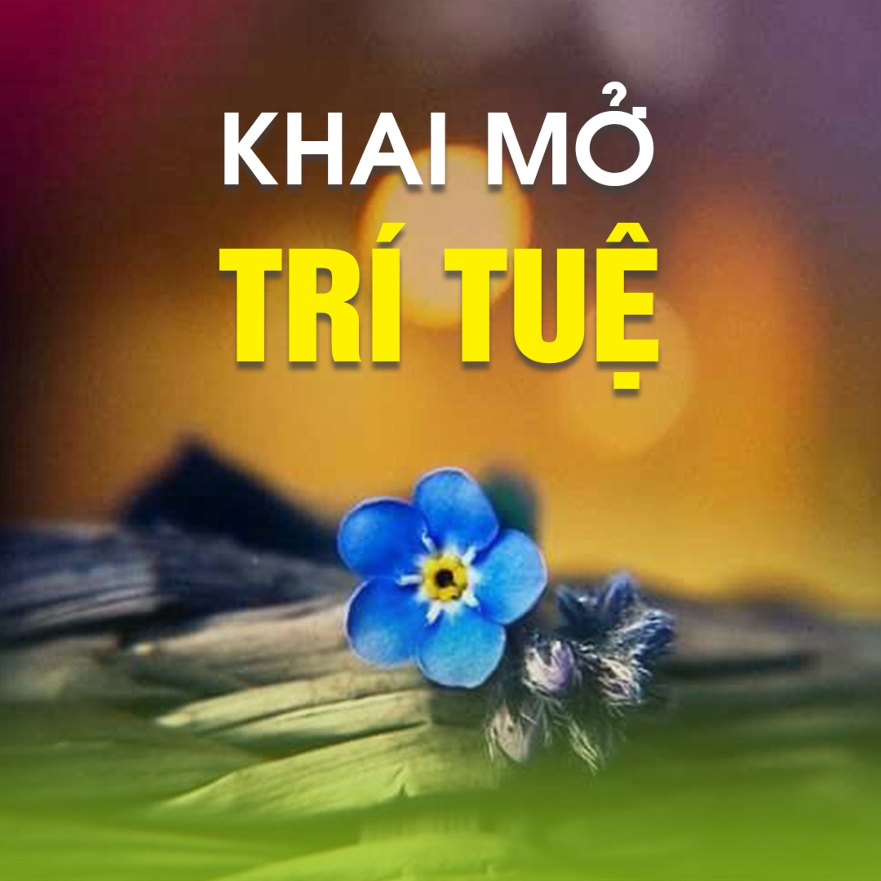 KHAI MỞ TRÍ TUỆ  episode artwork