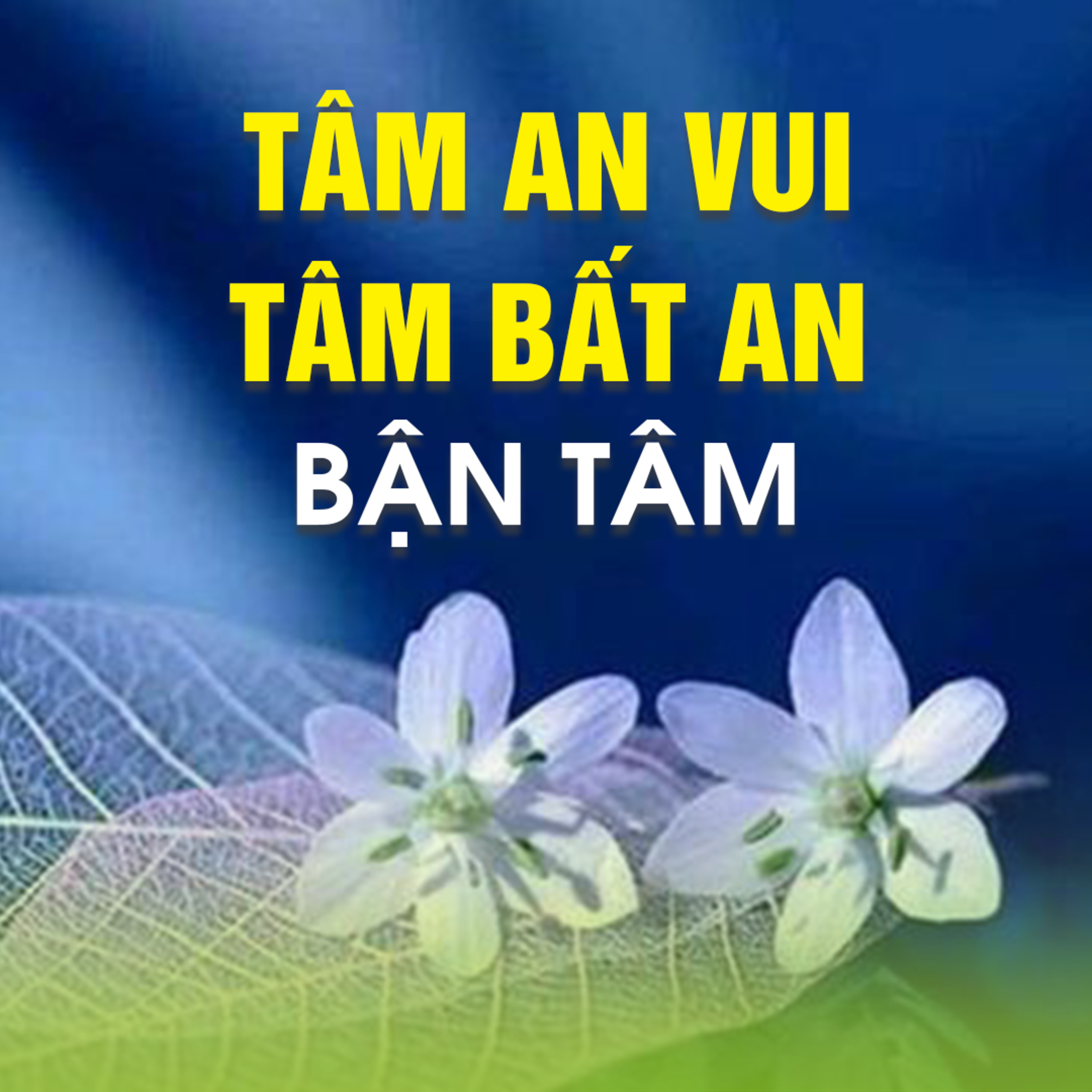 TÂM AN VUI, TÂM BẤT AN, BẬN TÂM episode artwork