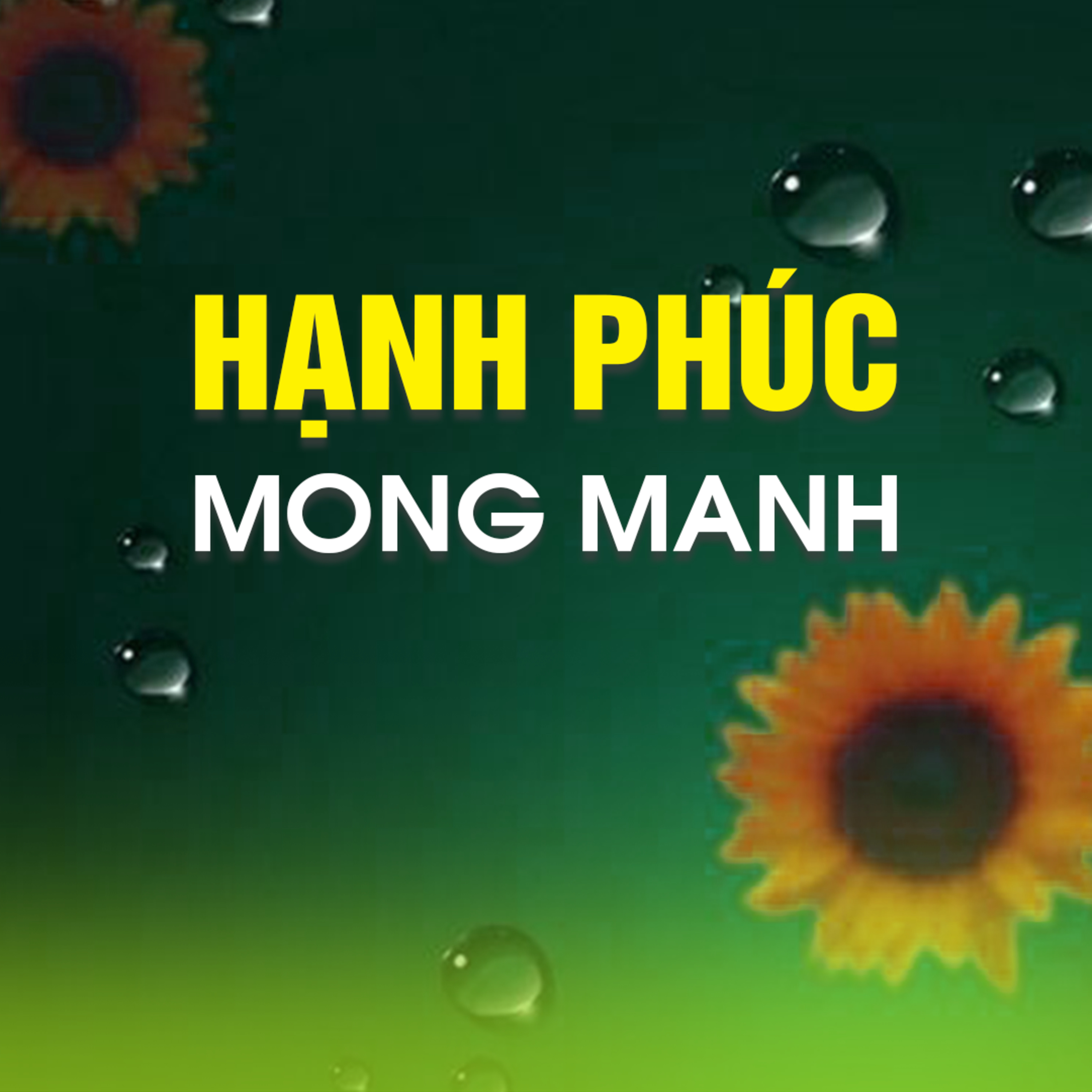 HẠNH PHÚC MONG MANH  episode artwork