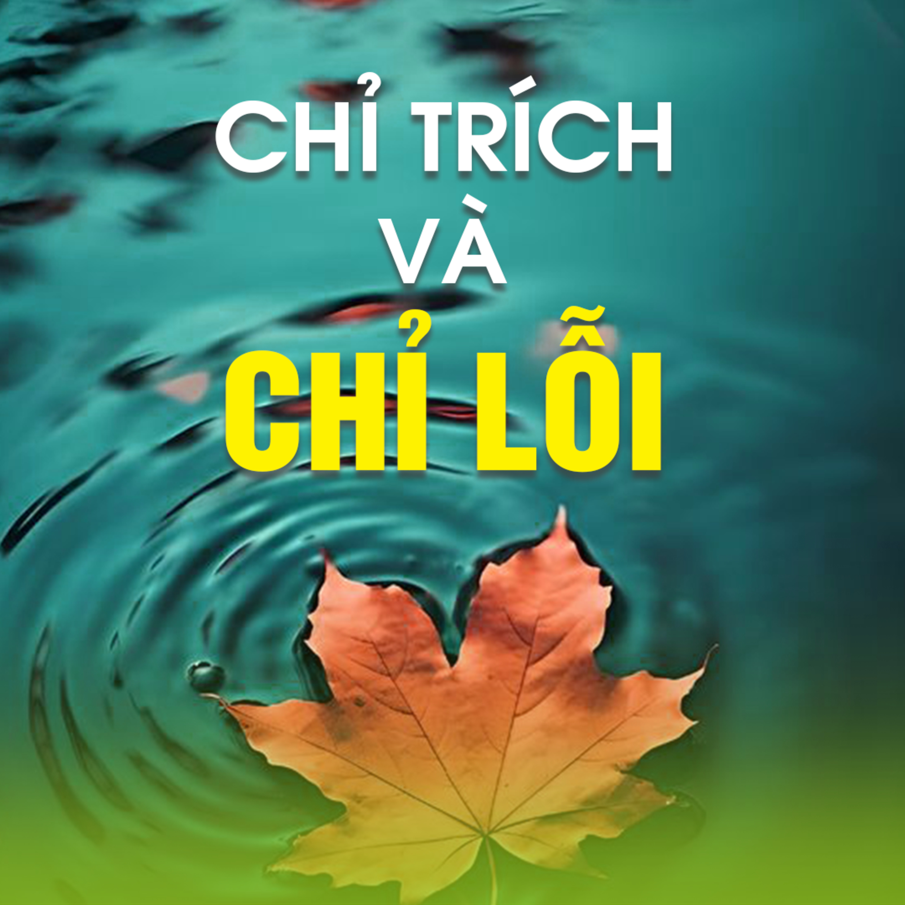 CHỈ TRÍCH VÀ CHỈ LỖI A episode artwork