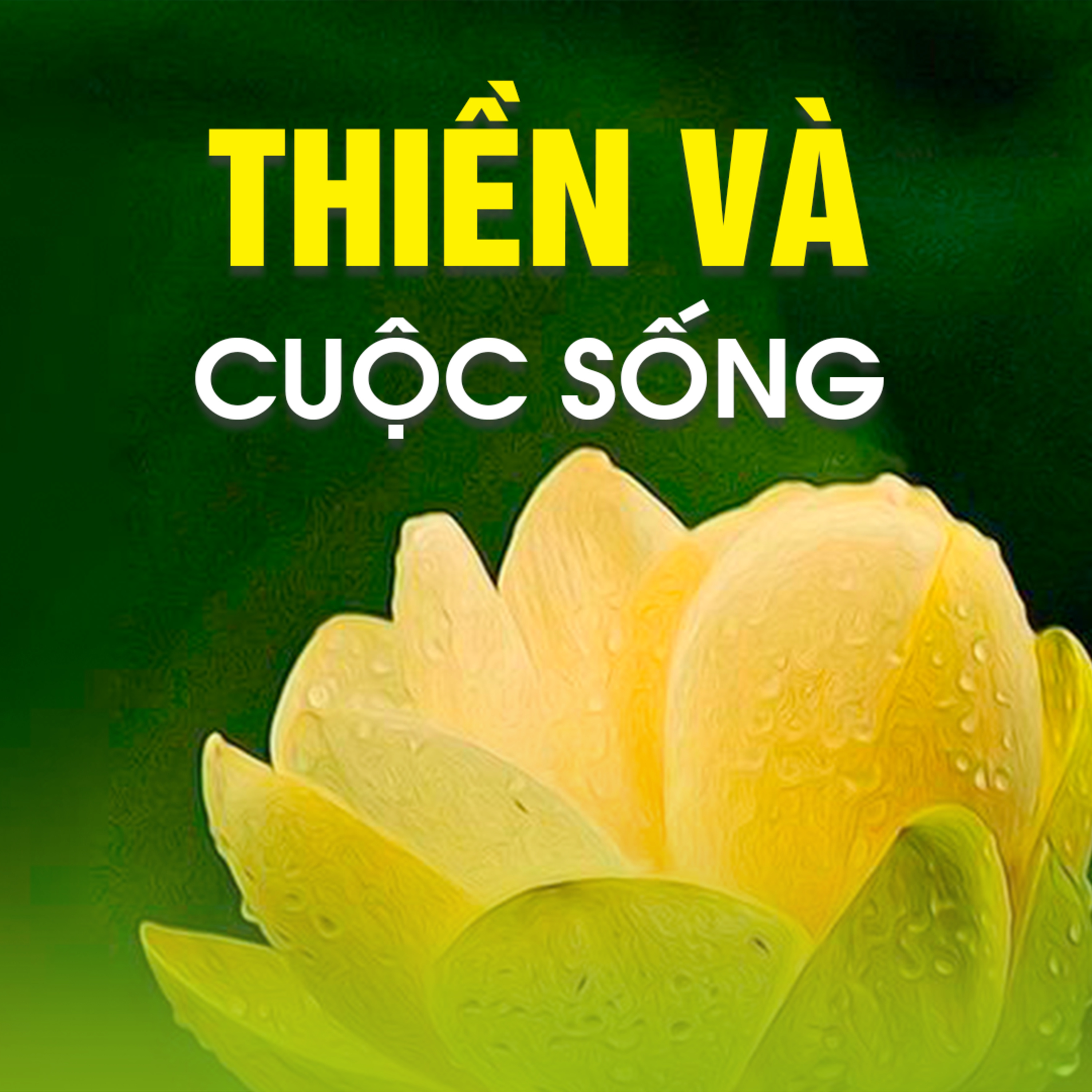 THIỀN VÀ CUỘC SỐNG  episode artwork