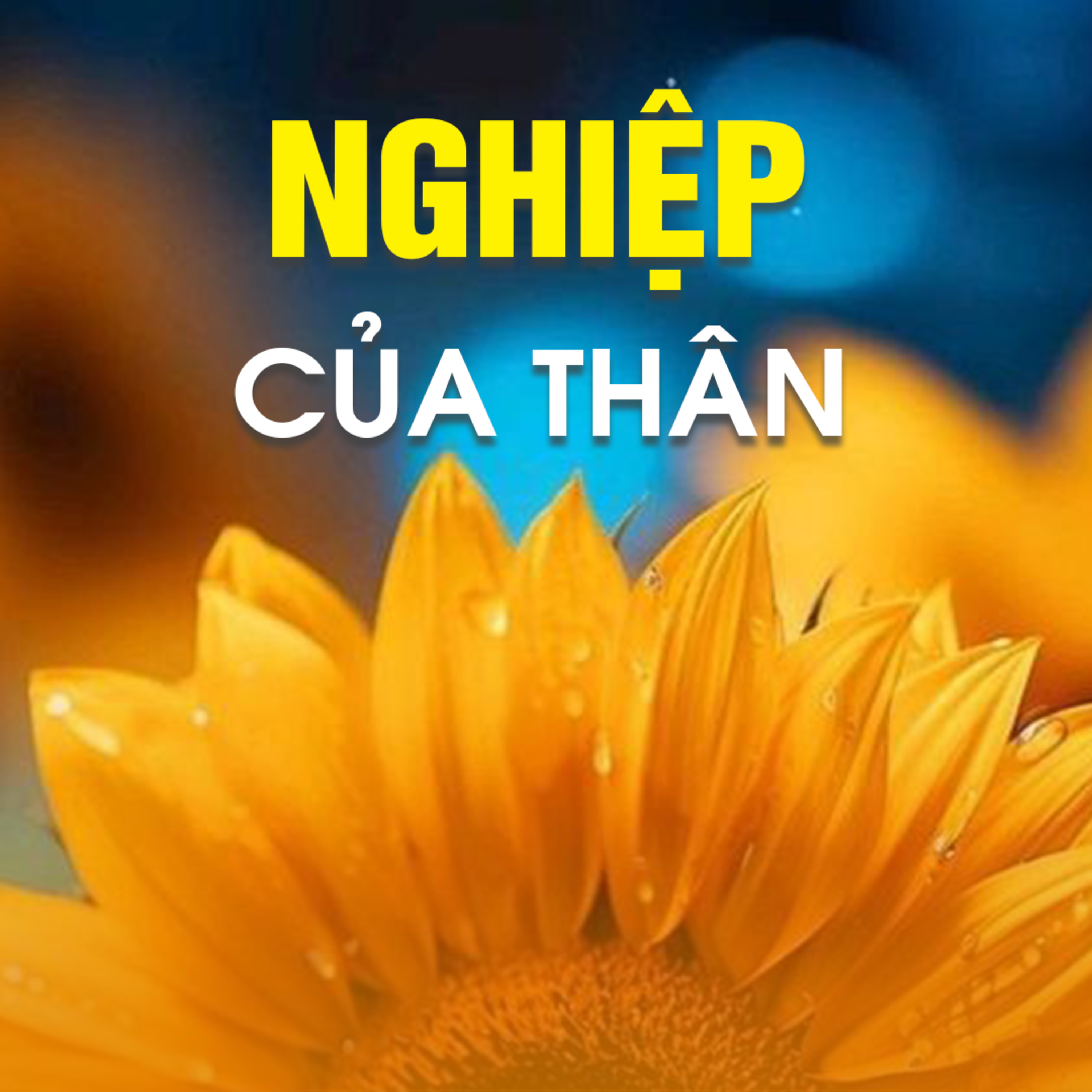 NGHIỆP CỦA THÂN A - Pháp Cú 17 