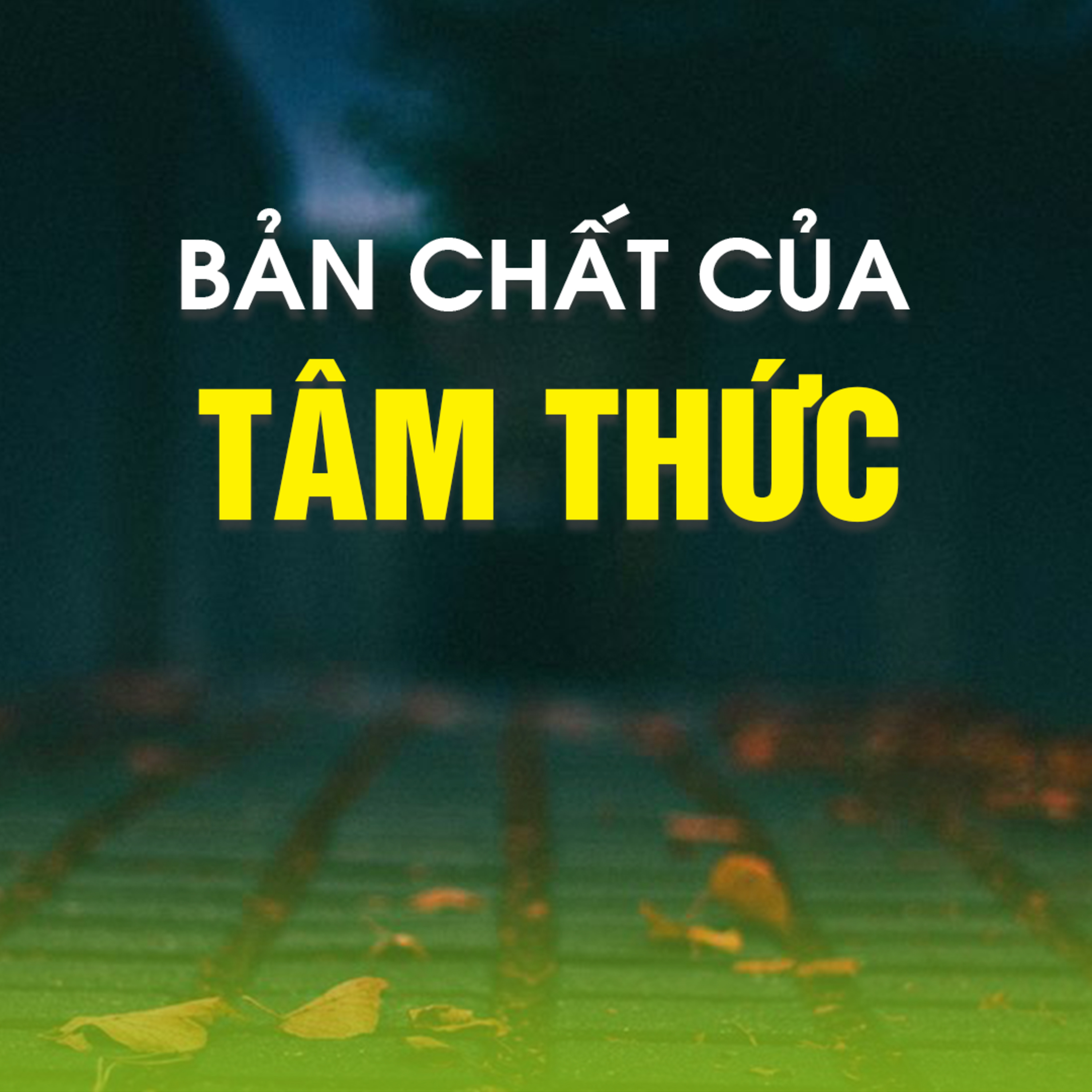 BẢN CHẤT CỦA TÂM THỨC B - Kinh Kim Cang 16  episode artwork