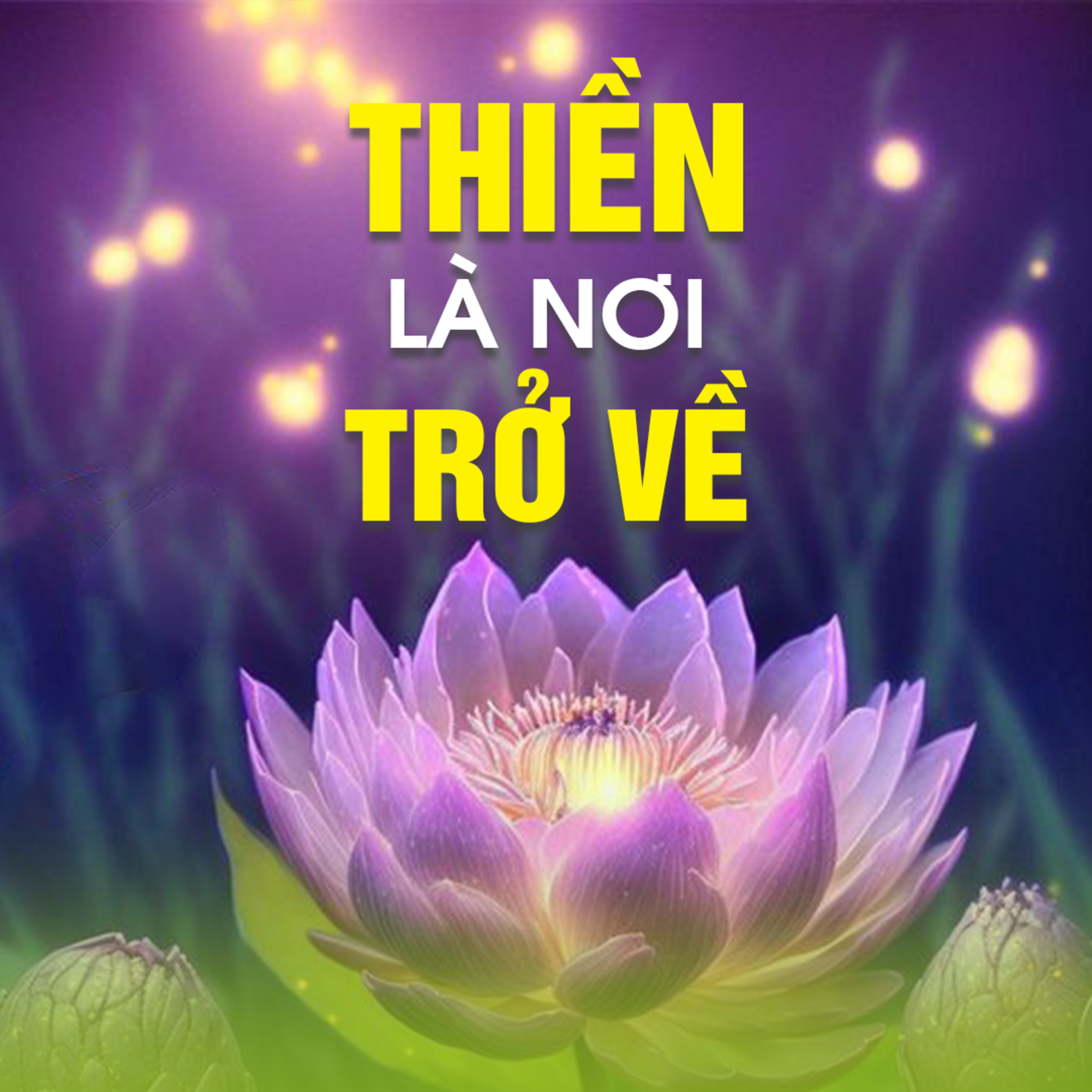 THIỀN LÀ NƠI TRỞ VỀ  episode artwork