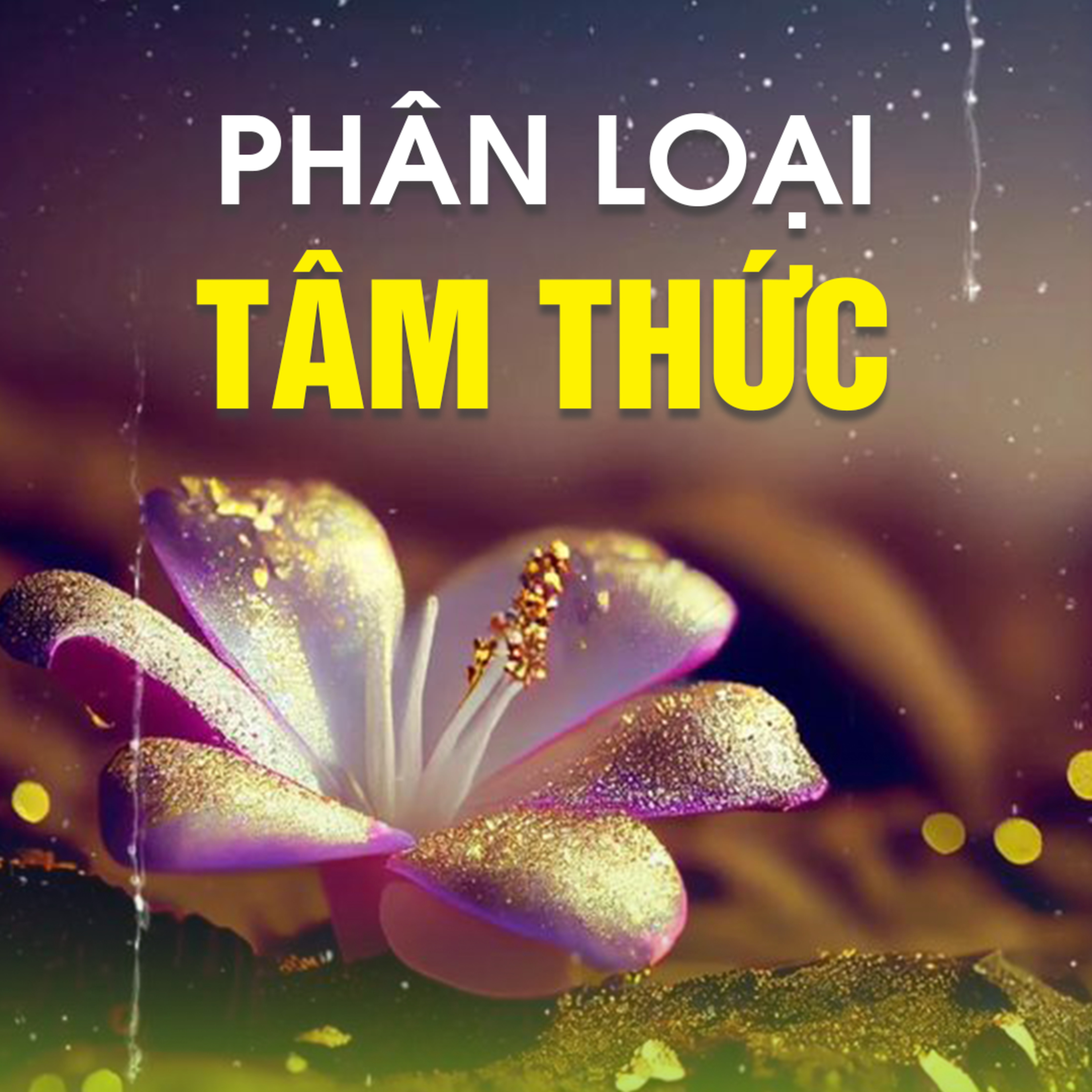 PHÂN LOẠI TÂM THỨC  episode artwork