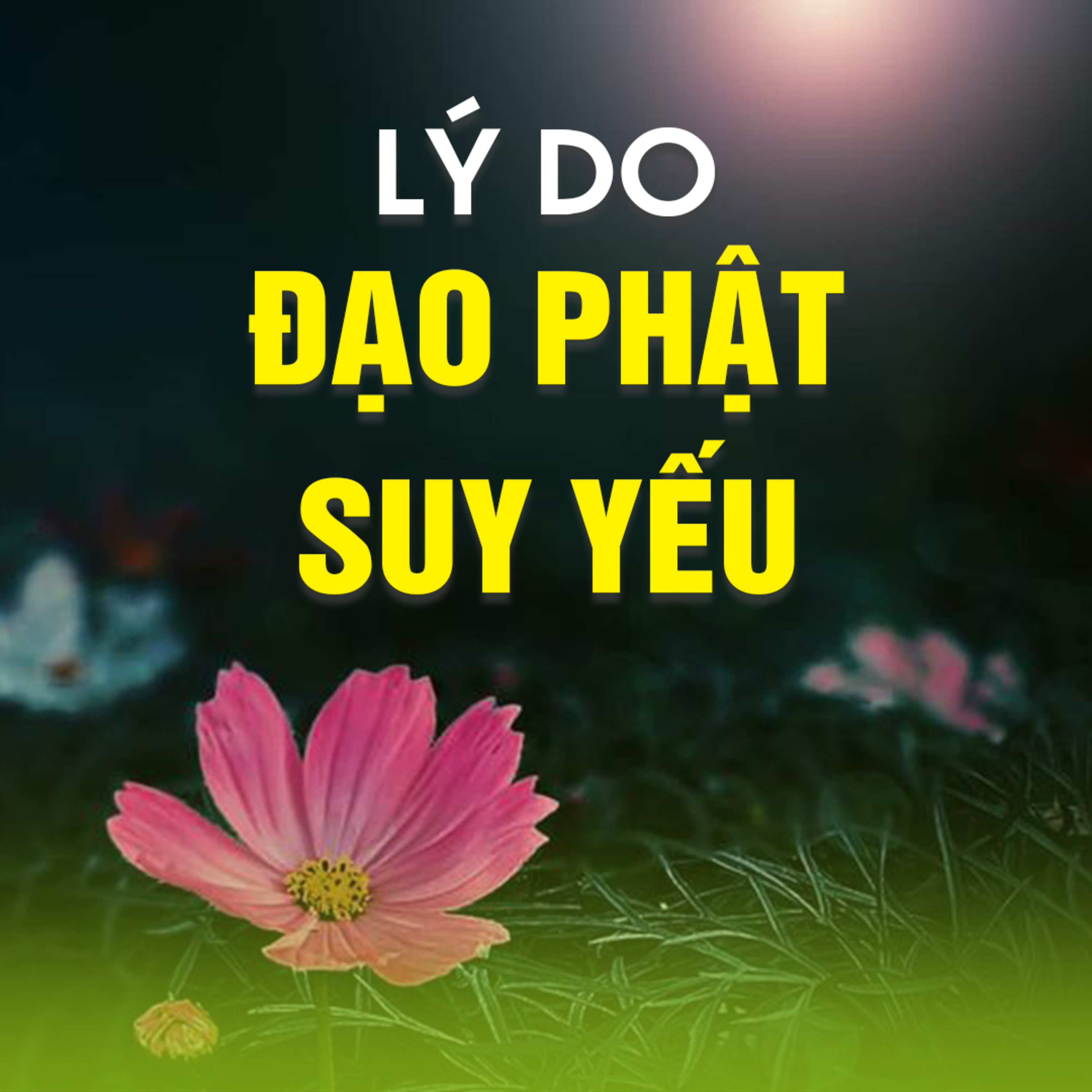 LÝ DO ĐẠO PHẬT SUY YẾU episode artwork