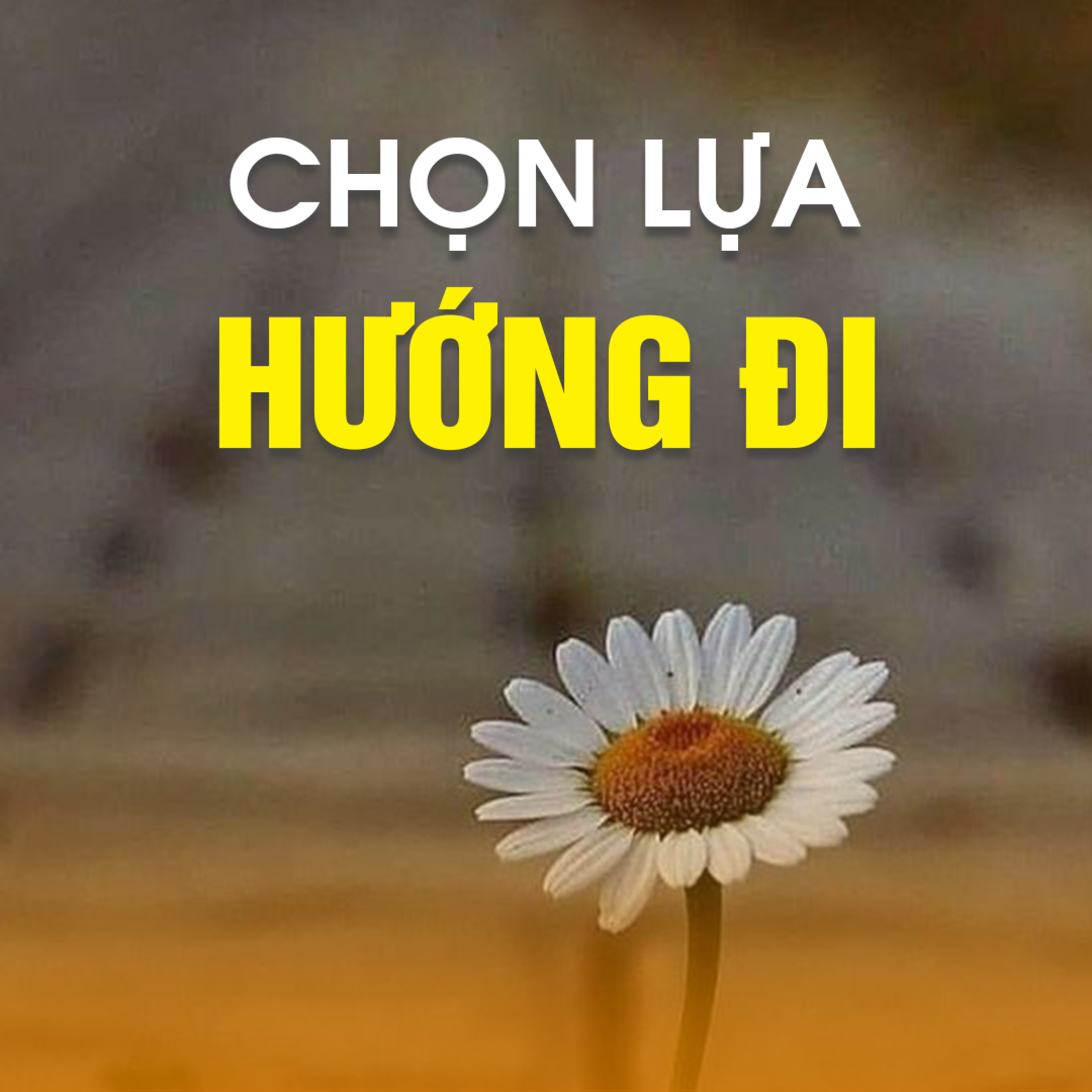 CHỌN LỰA HƯỚNG ĐI episode artwork