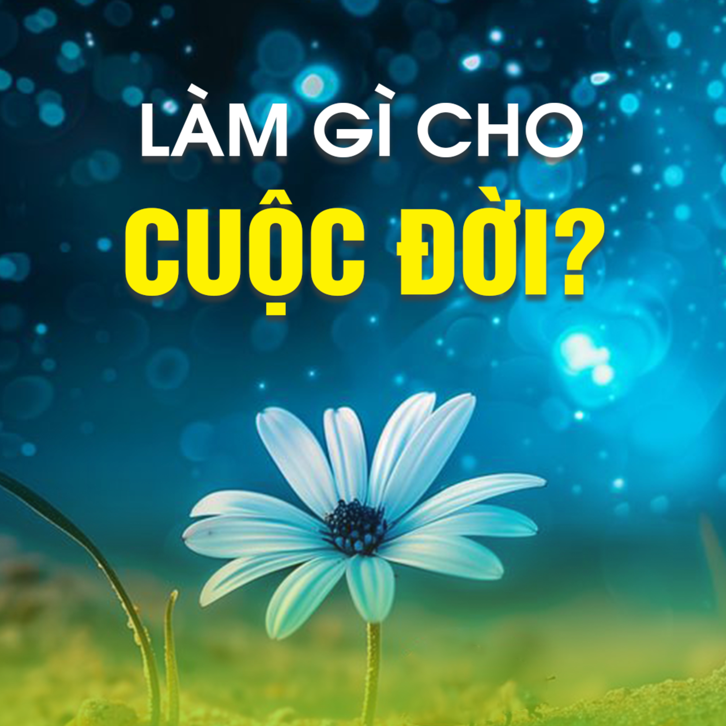 LÀM GÌ CHO CUỘC ĐỜI?  episode artwork