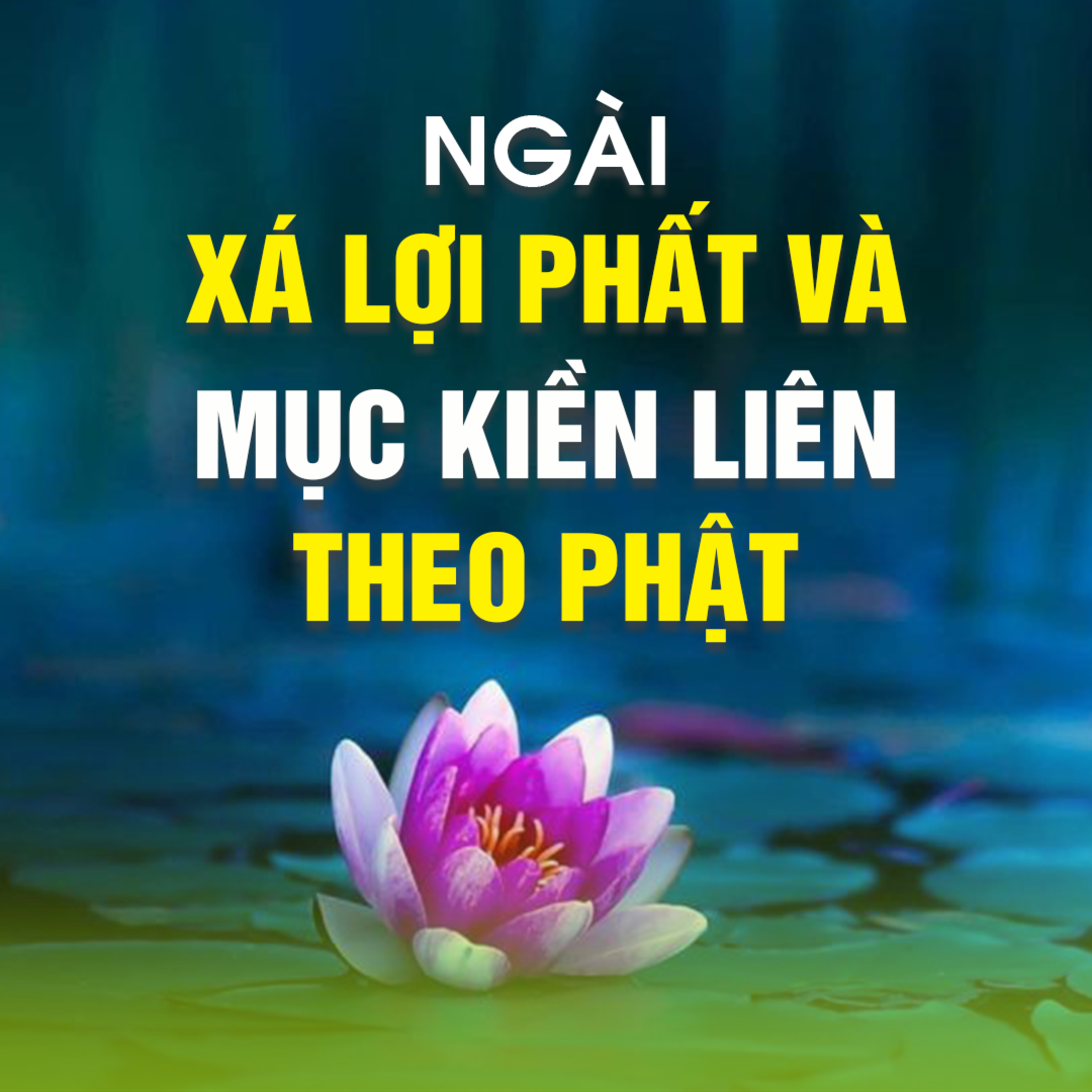 NGÀI XÁ LỢI PHẤT VÀ MỤC KIỀN LIÊN THEO PHẬT  episode artwork