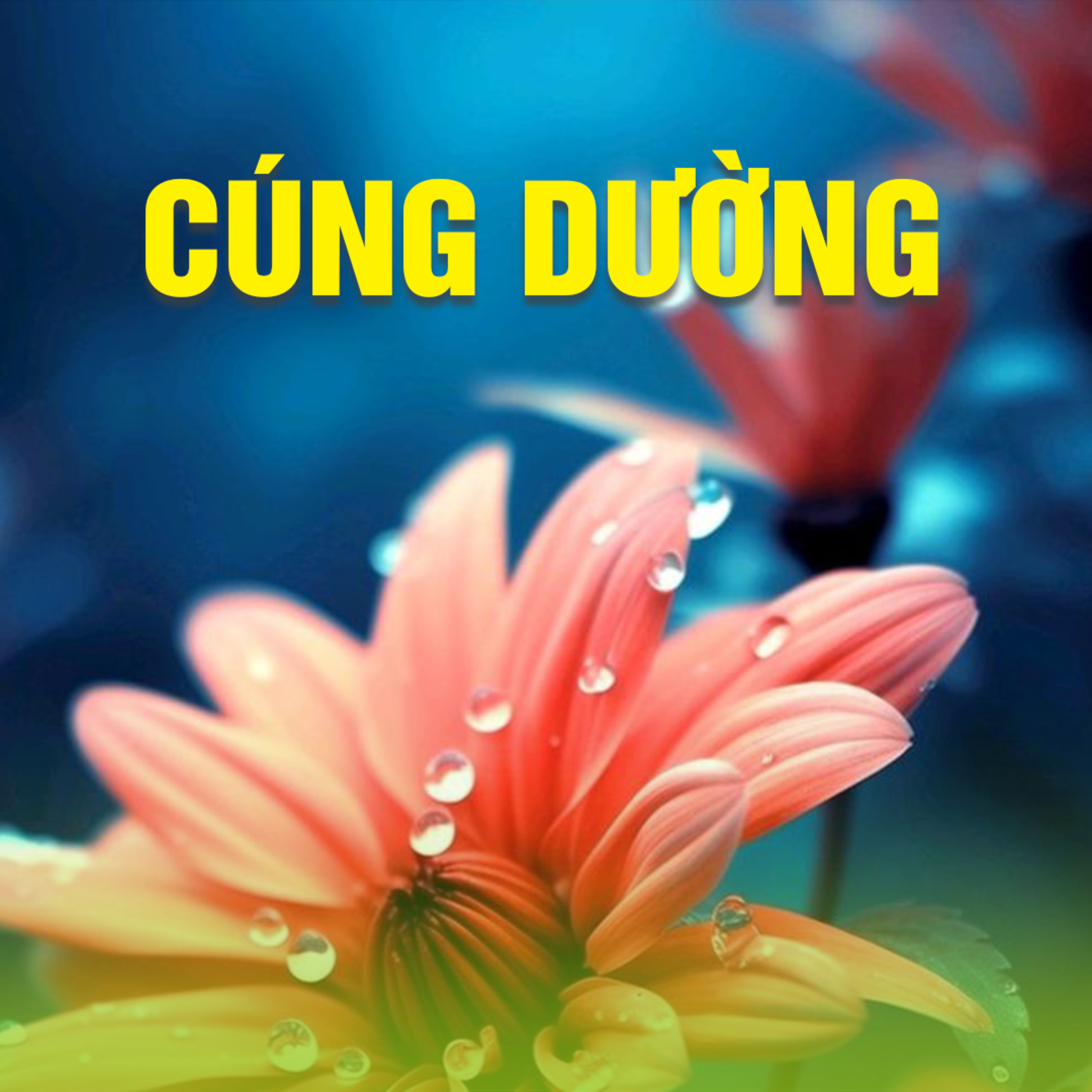 CÚNG DƯỜNG A episode artwork