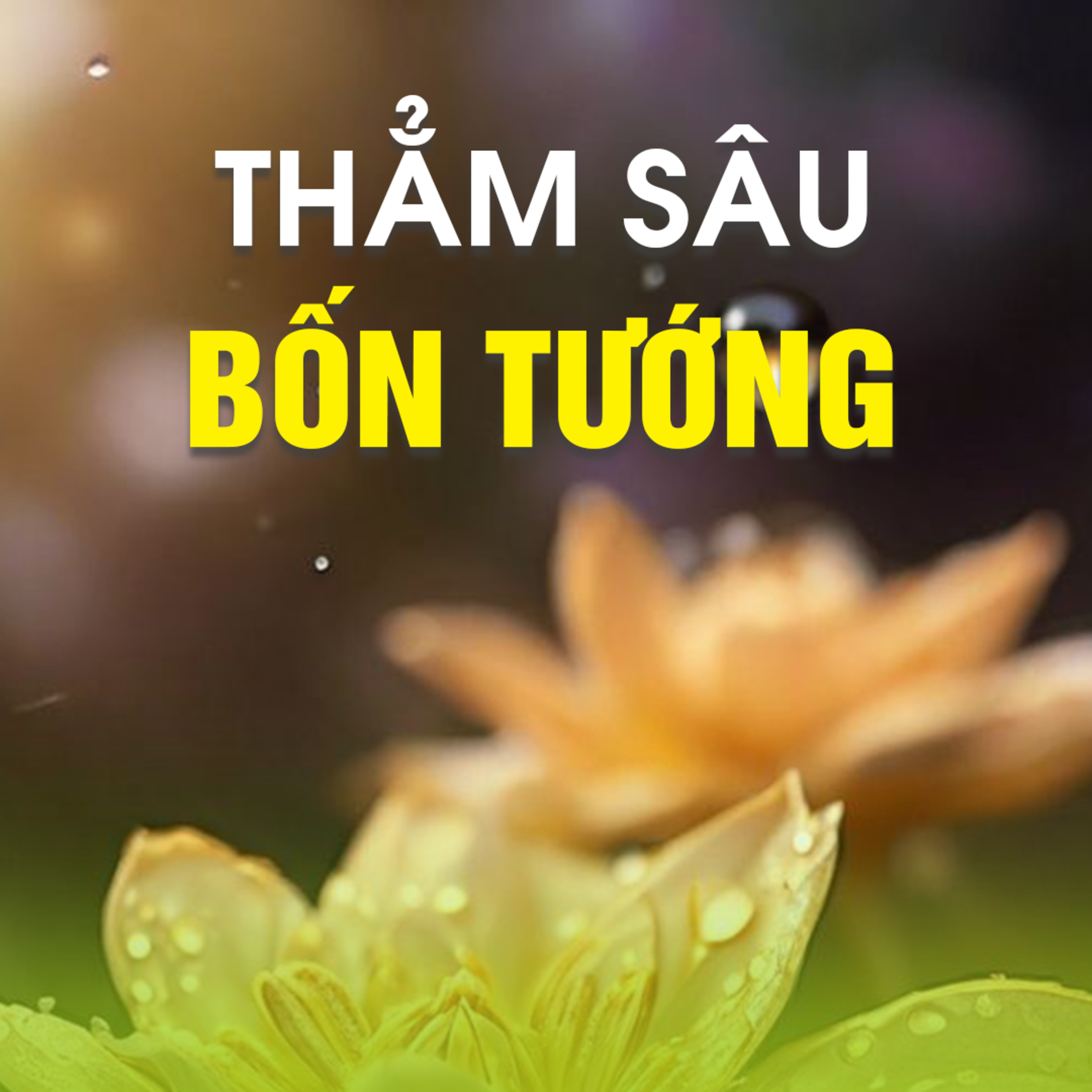 THẲM SÂU BỐN TƯỚNG A - Kinh Kim Cang 03  episode artwork