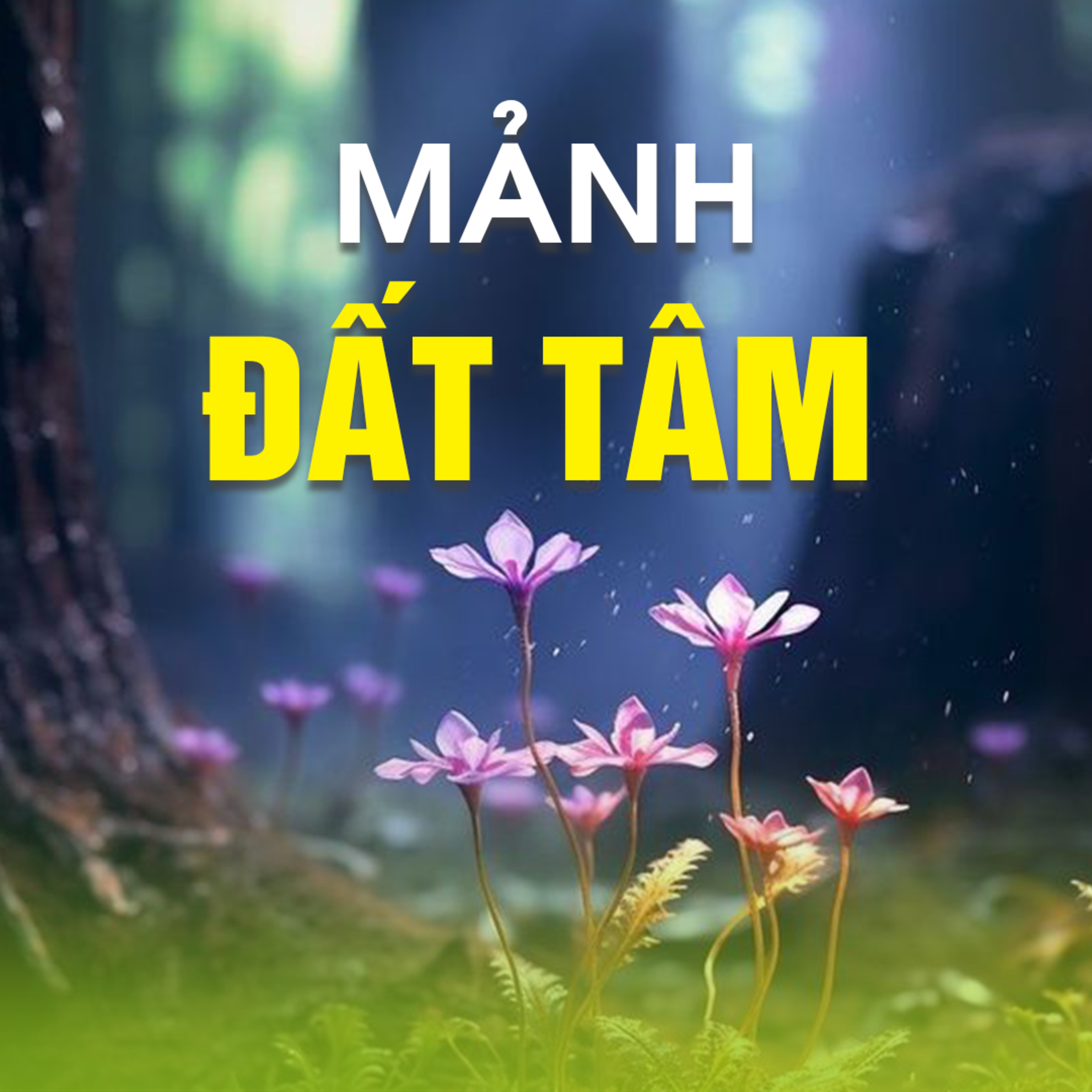 MẢNH ĐẤT TÂM B - Pháp Cú 18  episode artwork