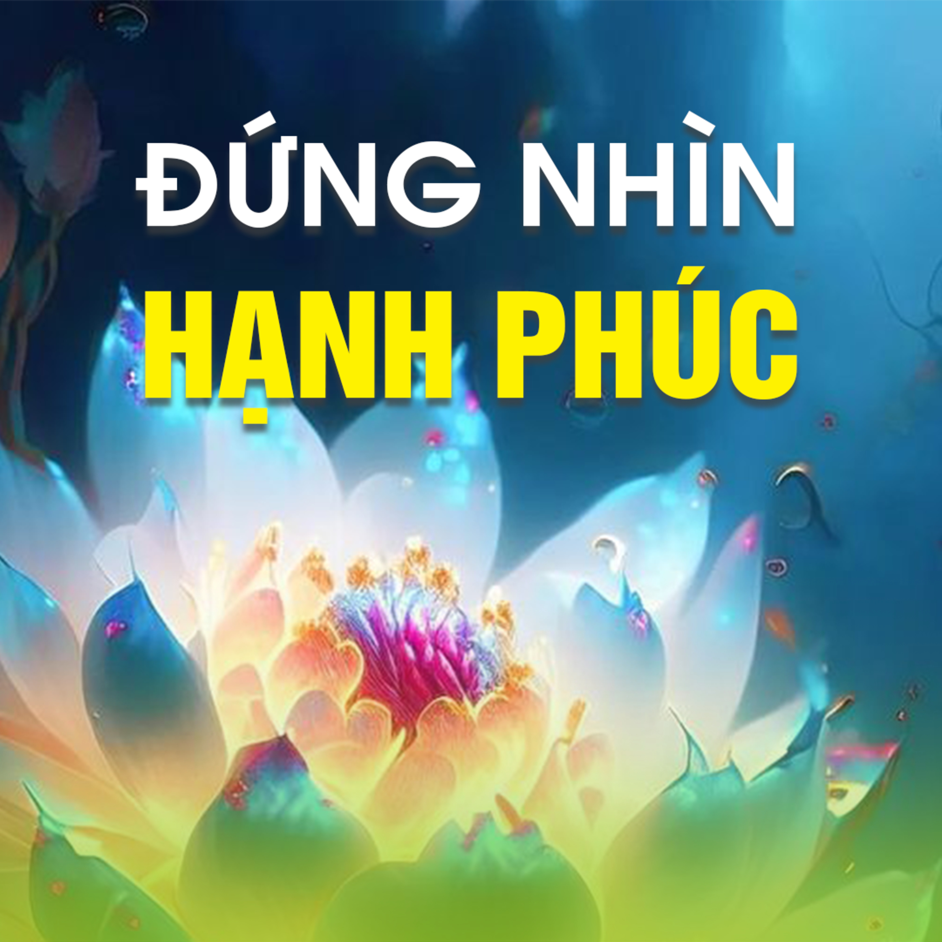 ĐỨNG NHÌN HẠNH PHÚC B episode artwork
