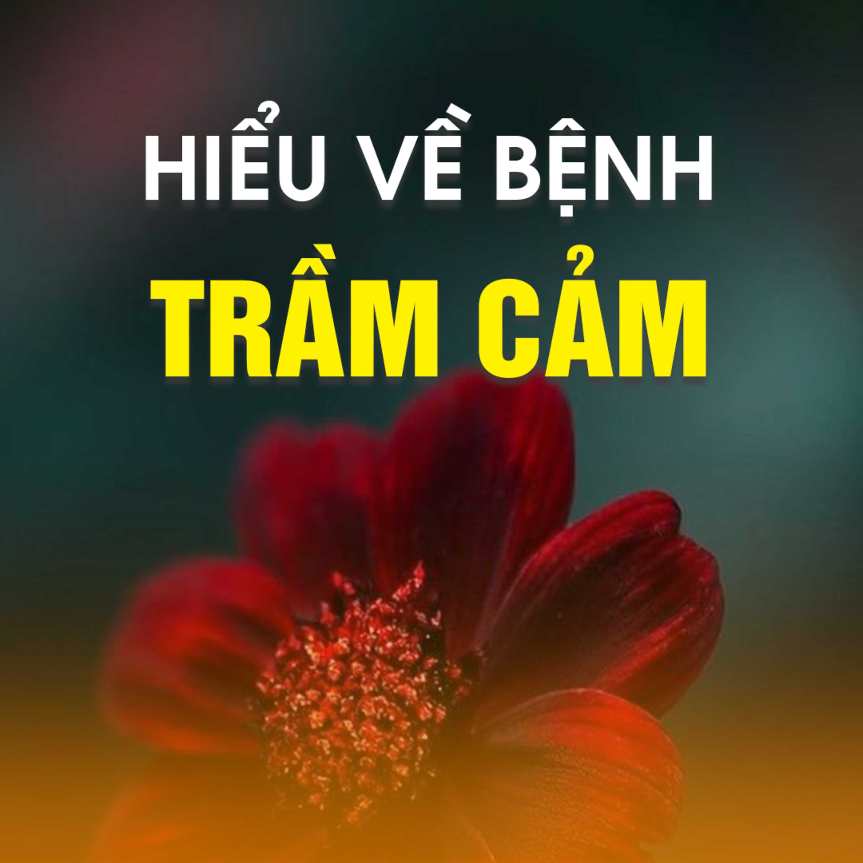 HIỂU VỀ BỆNH TRẦM CẢM  episode artwork