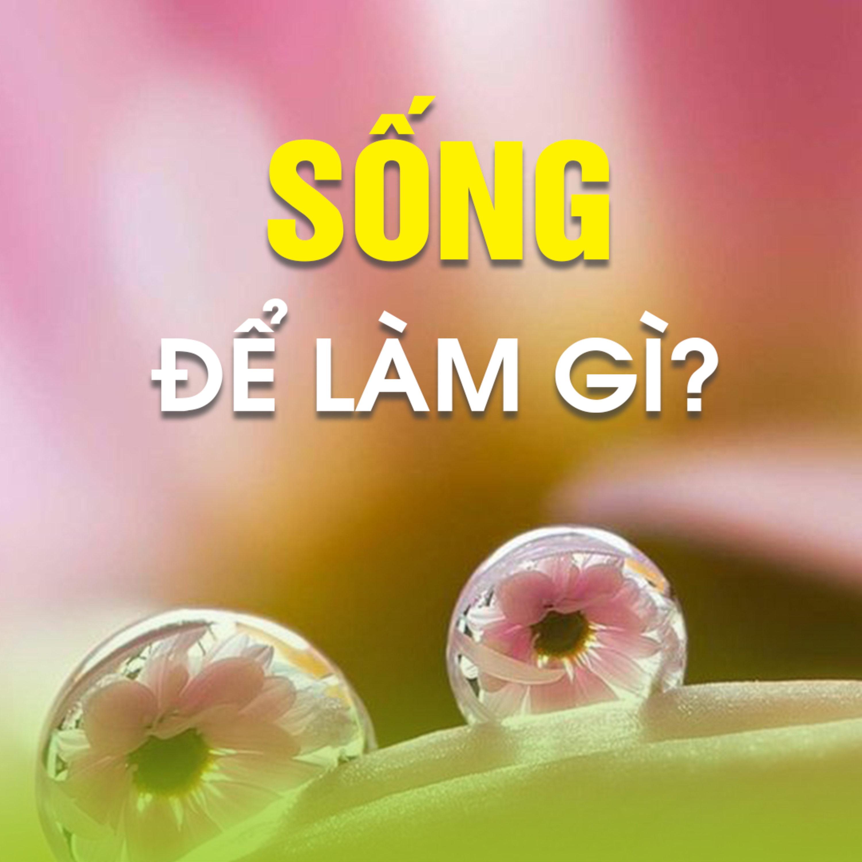 SỐNG ĐỂ LÀM GÌ?  episode artwork