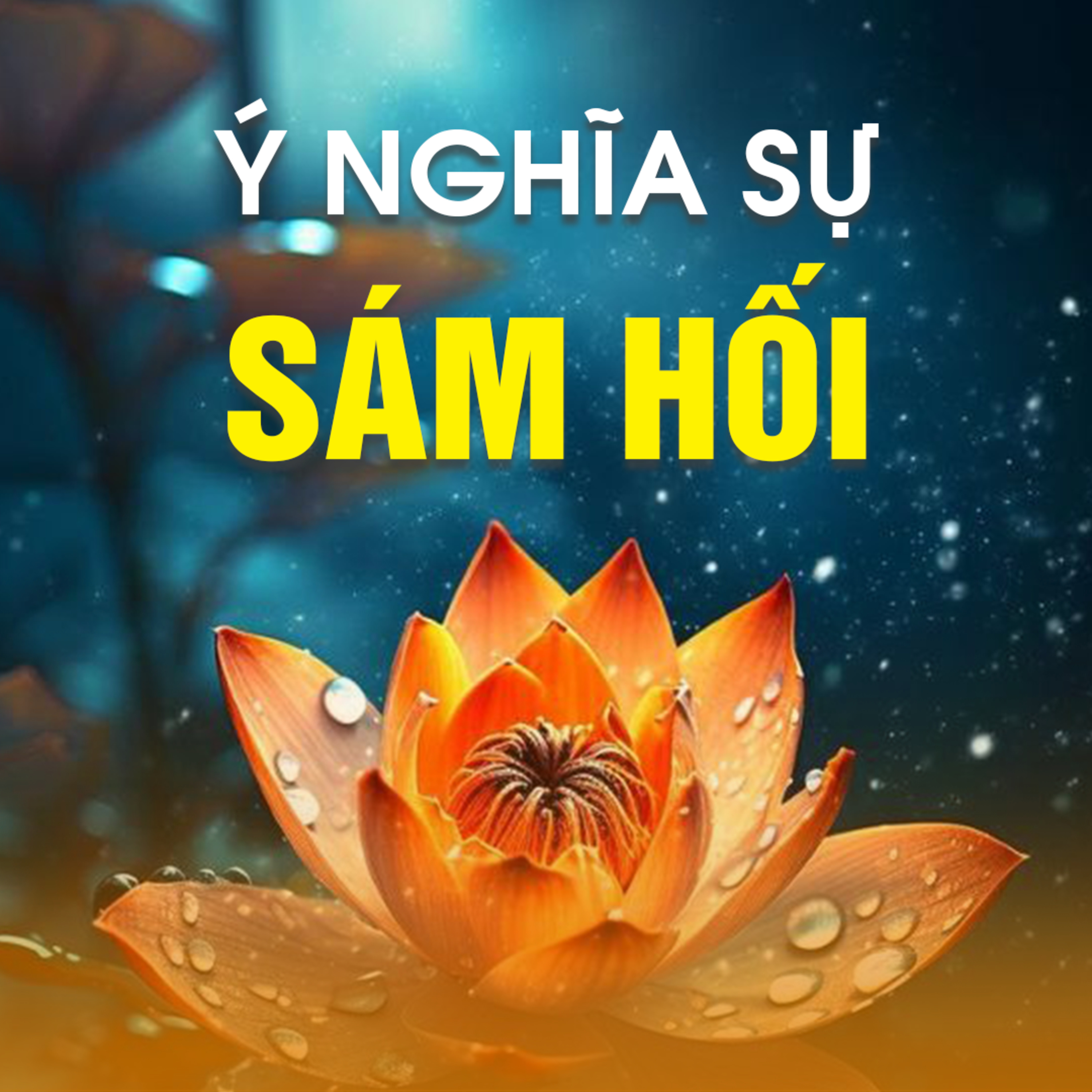 Ý NGHĨA SỰ SÁM HỐI 