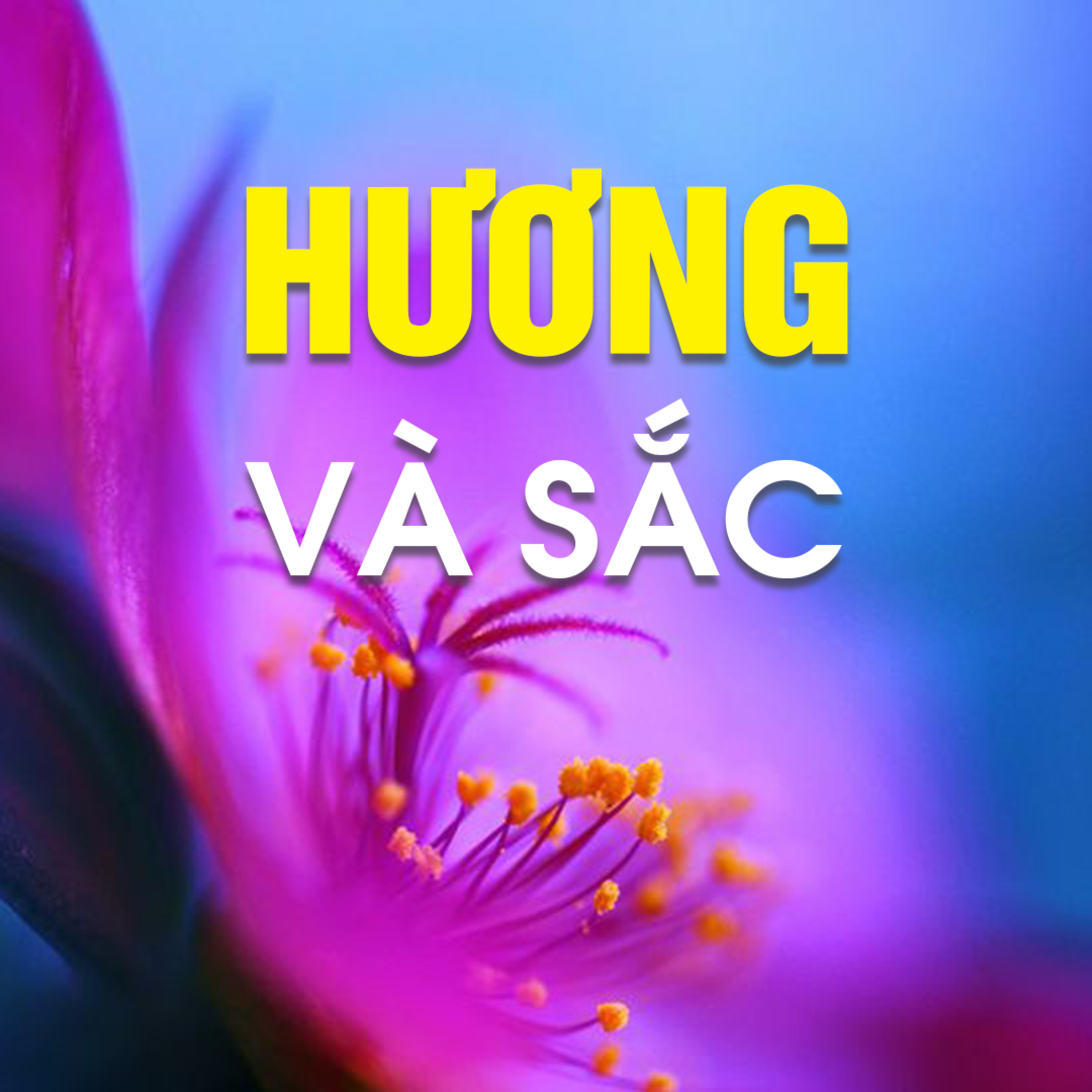 HƯƠNG VÀ SẮC B - Pháp Cú 20  episode artwork