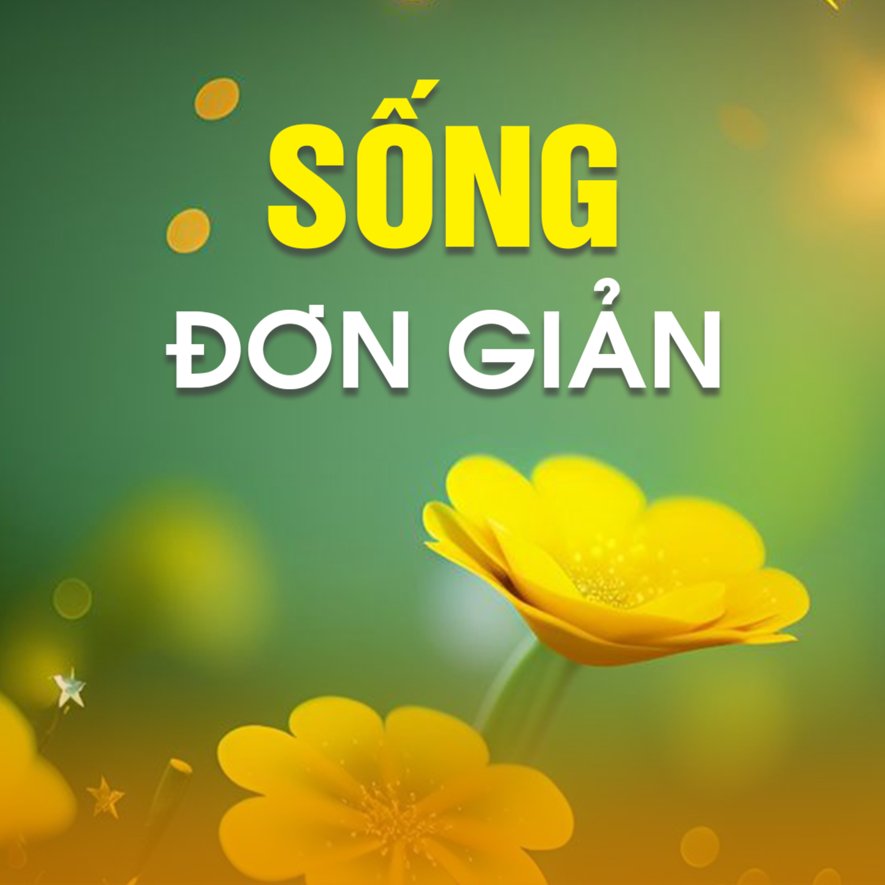 SỐNG ĐƠN GIẢN B episode artwork