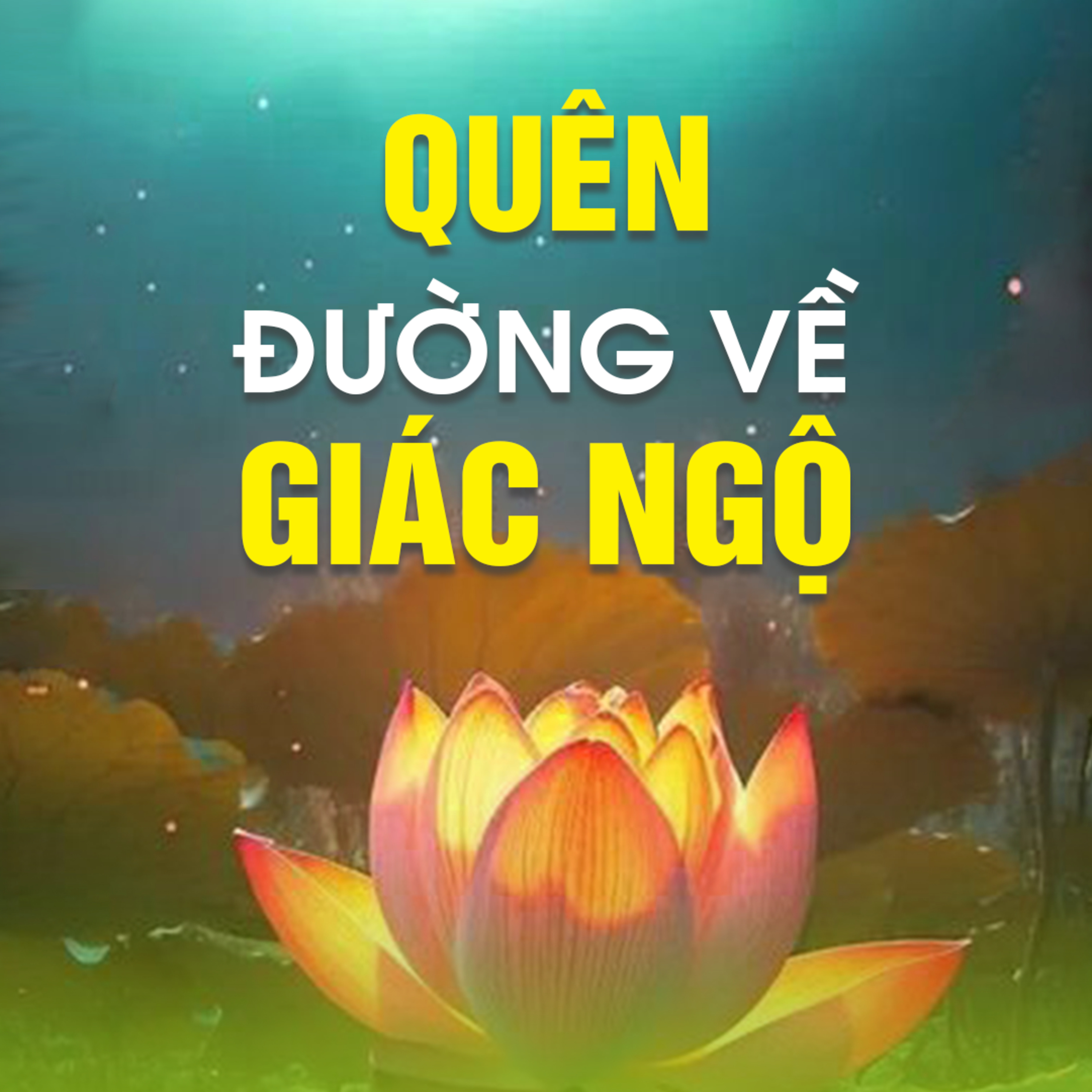 QUÊN ĐƯỜNG VỀ GIÁC NGỘ B - Pháp Cú 76  episode artwork