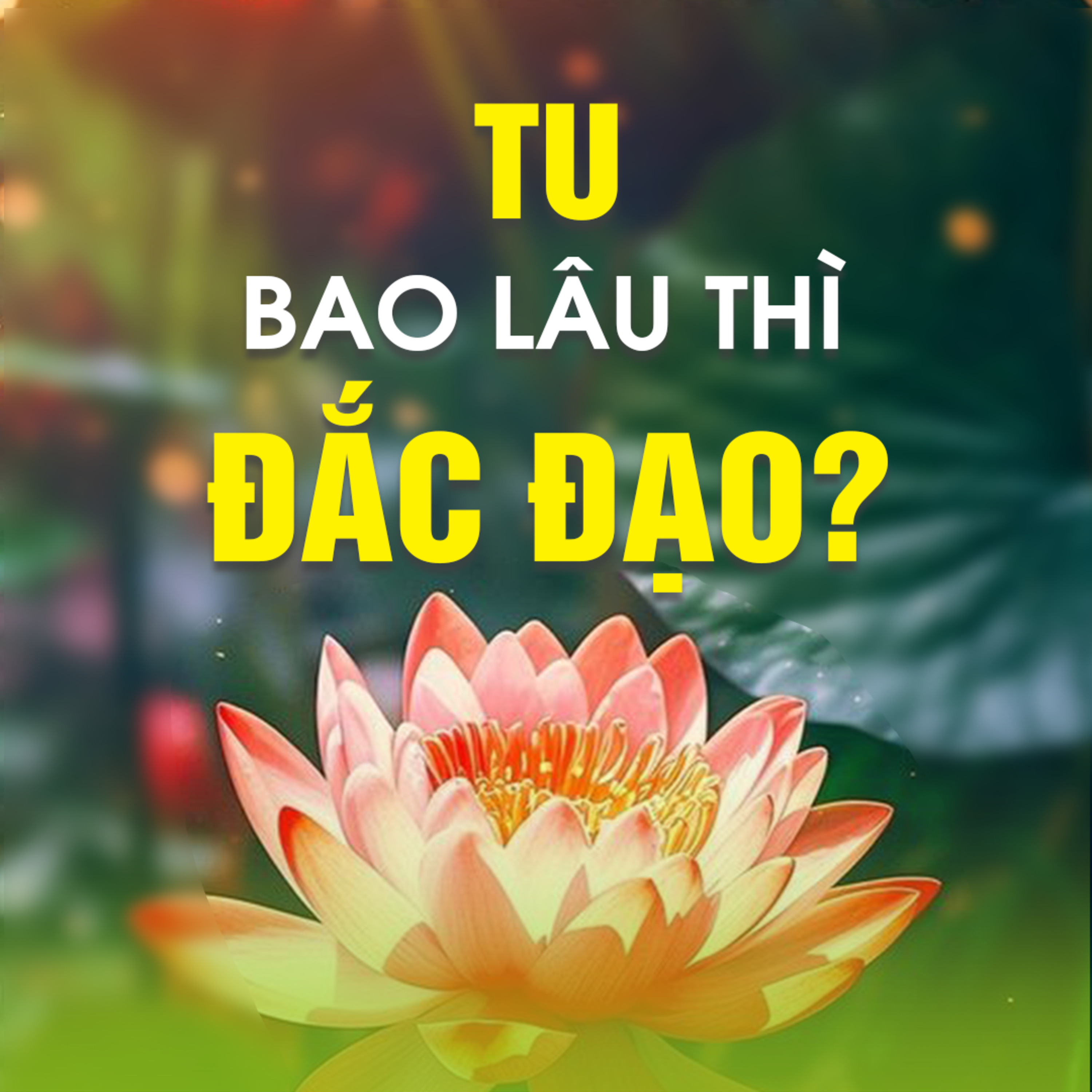 TU BAO LÂU THÌ ĐẮC ĐẠO?  episode artwork