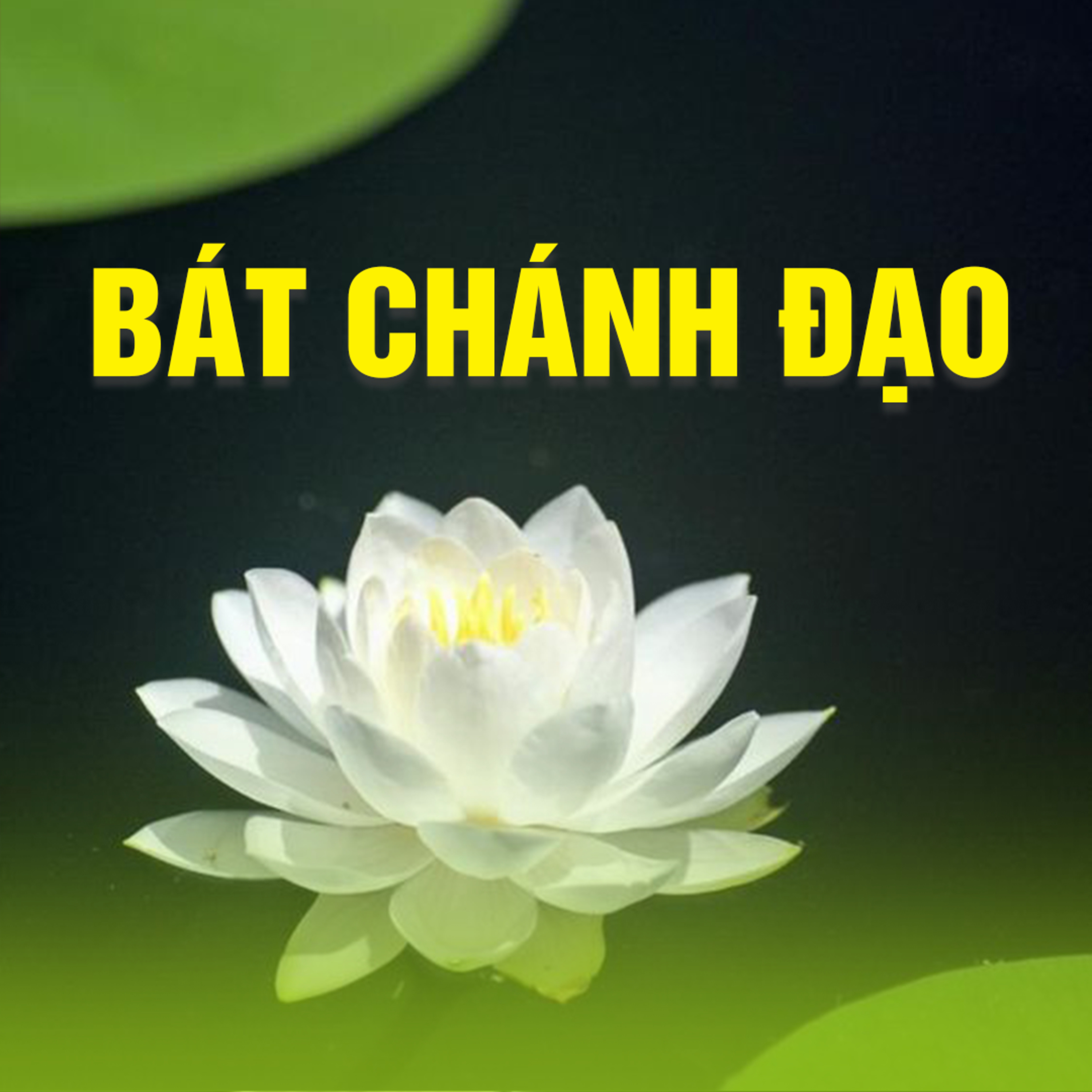 BÁT CHÁNH ĐẠO - CHÁNH TINH TẤN B