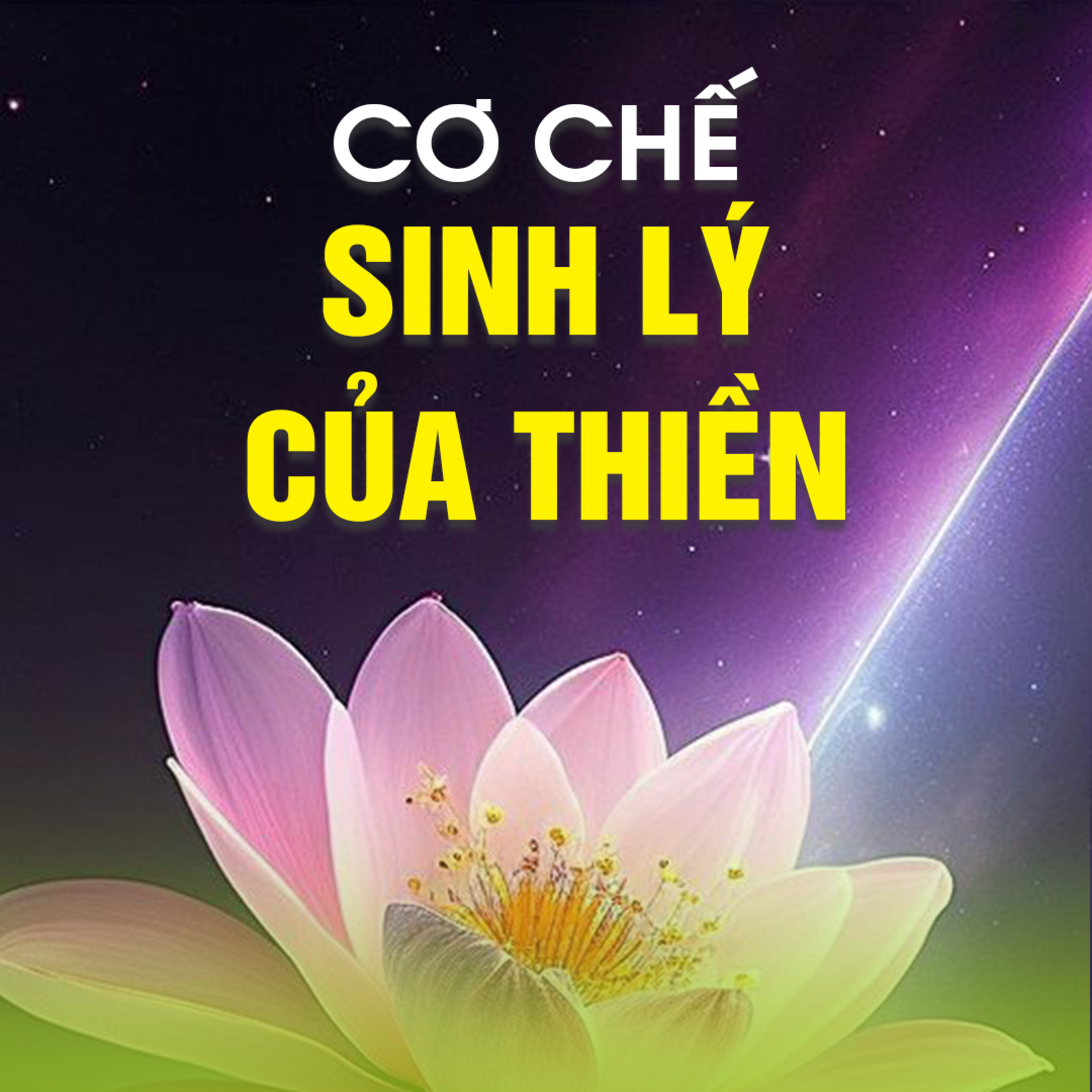 CƠ CHẾ SINH LÝ CỦA THIỀN B episode artwork
