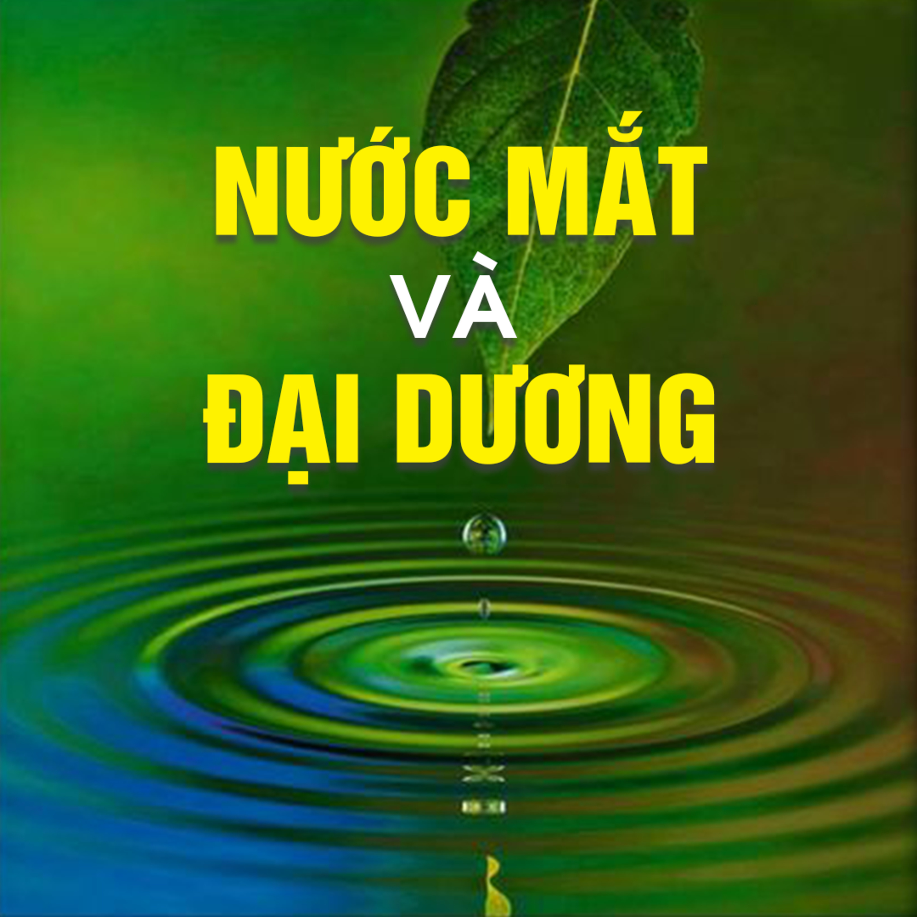 NƯỚC MẮT VÀ ĐẠI DƯƠNG A - Pháp Cú 29 
