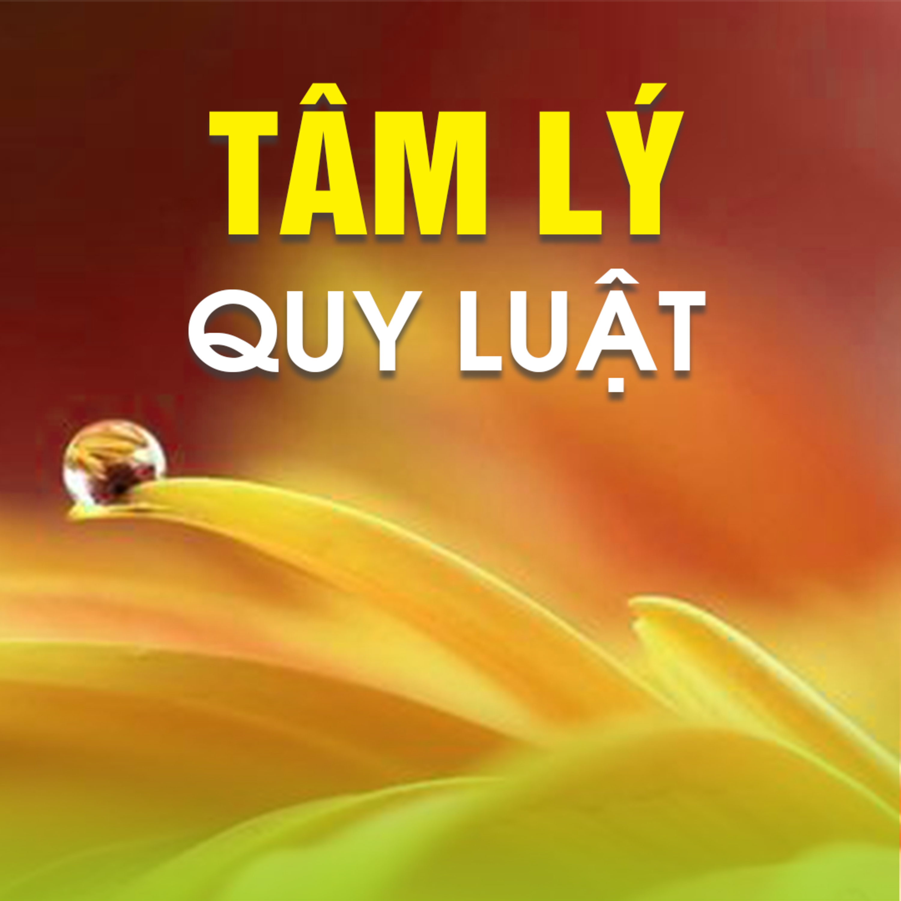 QUY LUẬT TÂM LÝ - Ngũ Uẩn 07 B episode artwork
