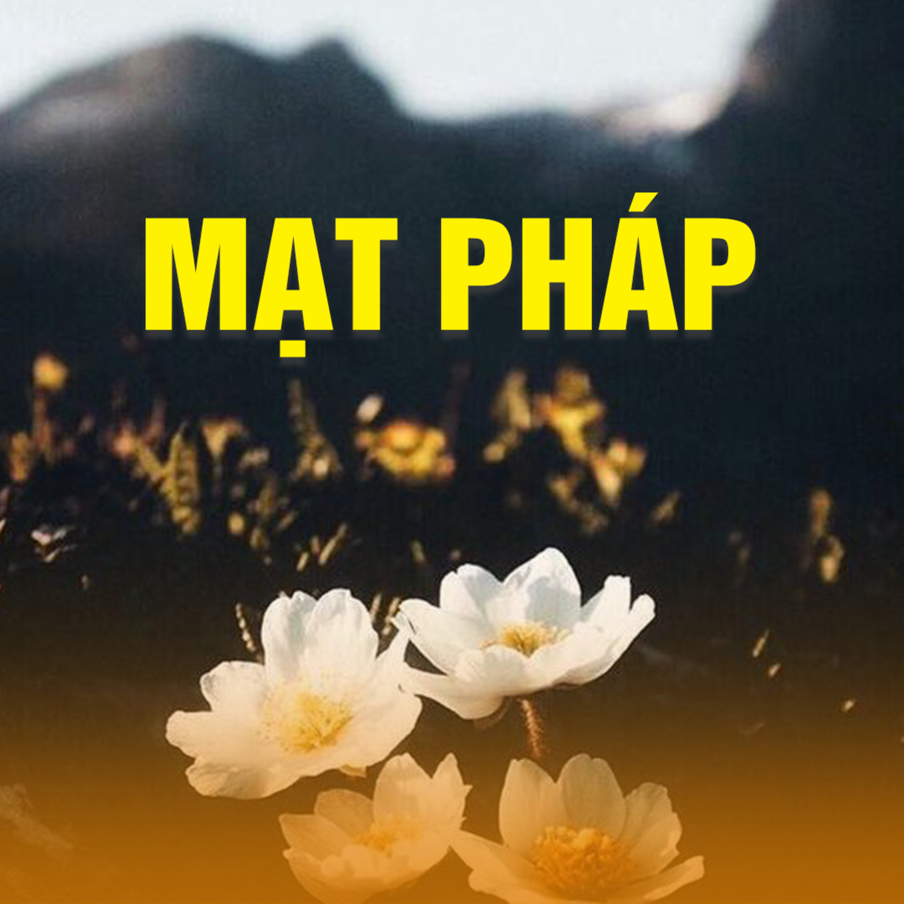 MẠT PHÁP A episode artwork