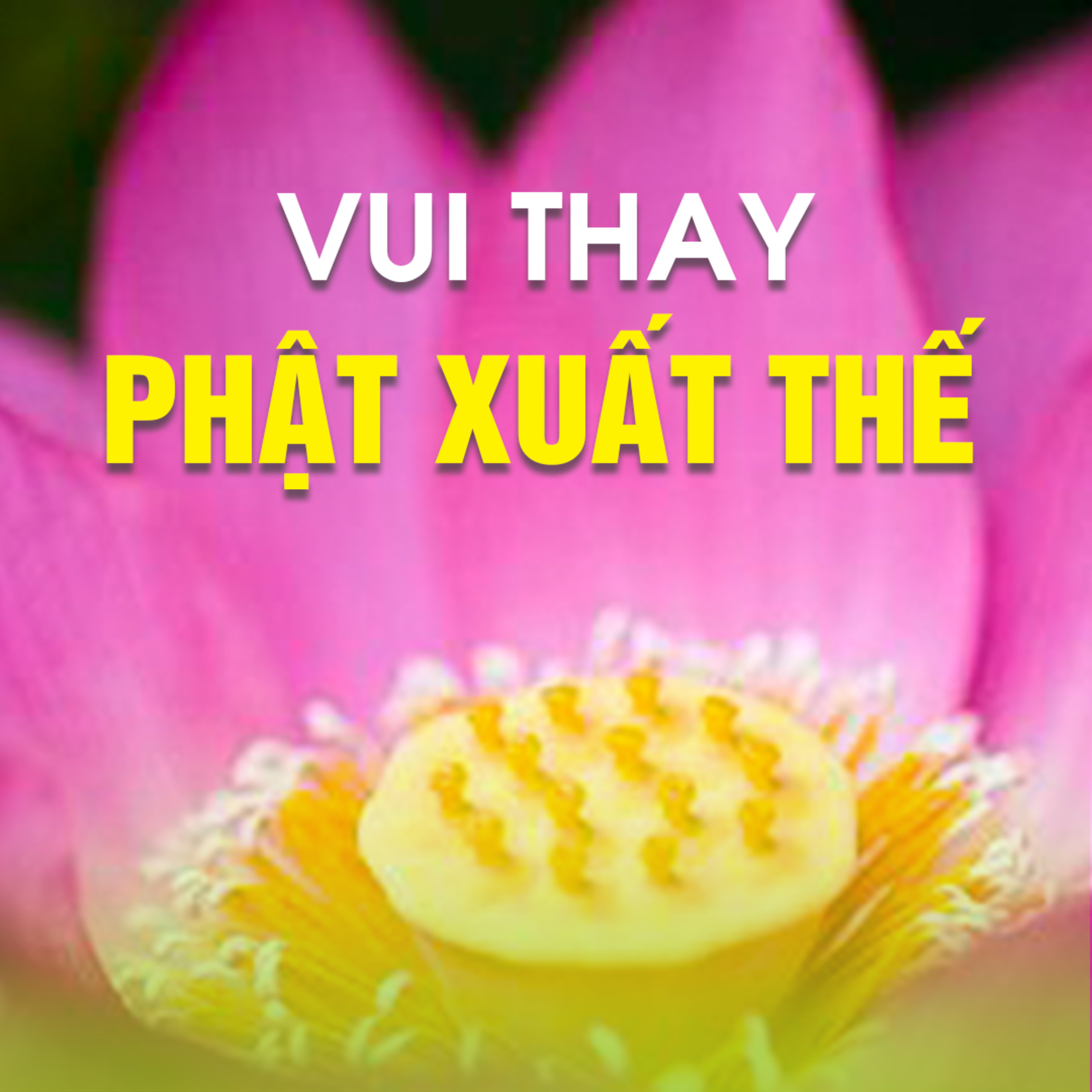 VUI THAY PHẬT XUẤT THẾ B - Pháp Cú 56 