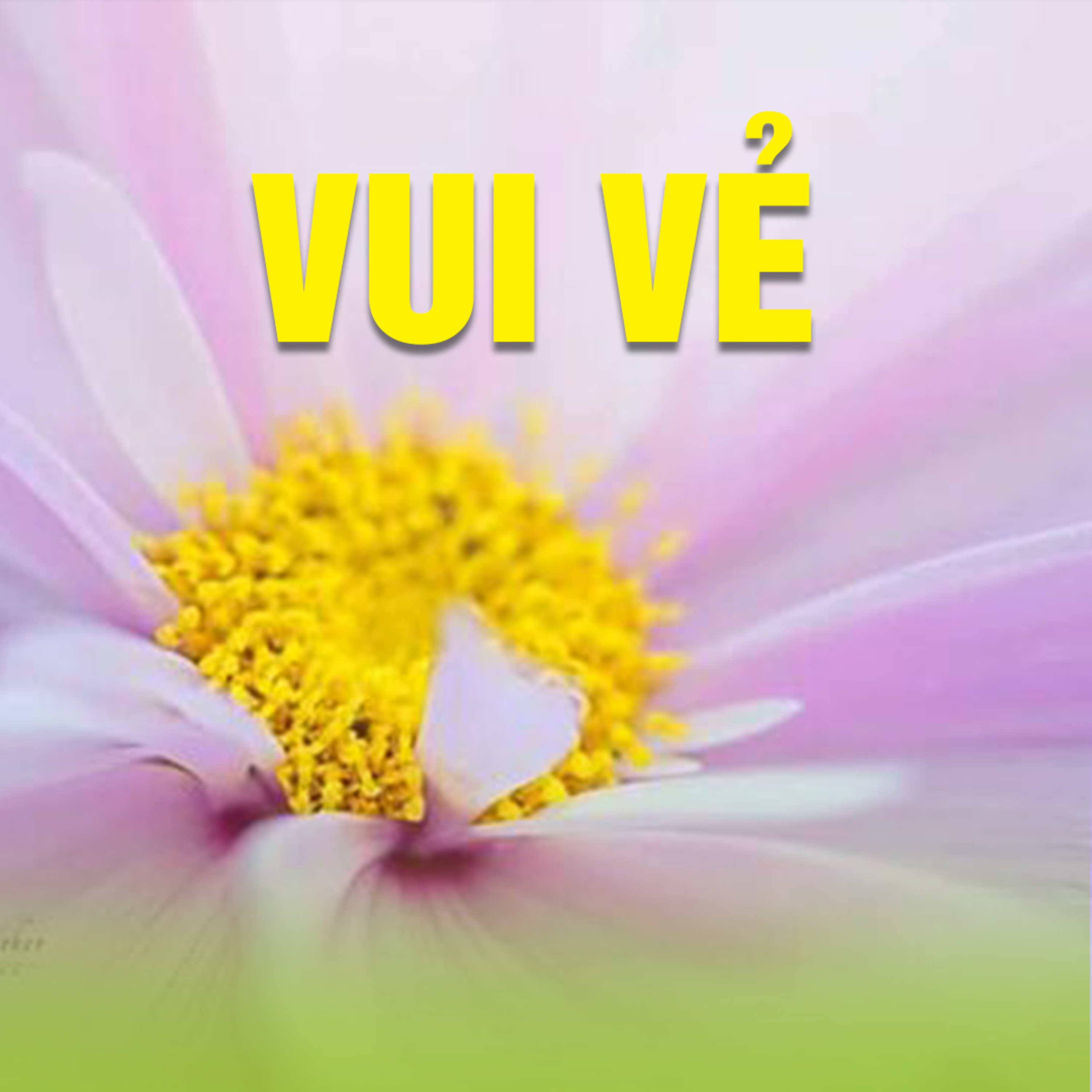 VUI VẺ B episode artwork