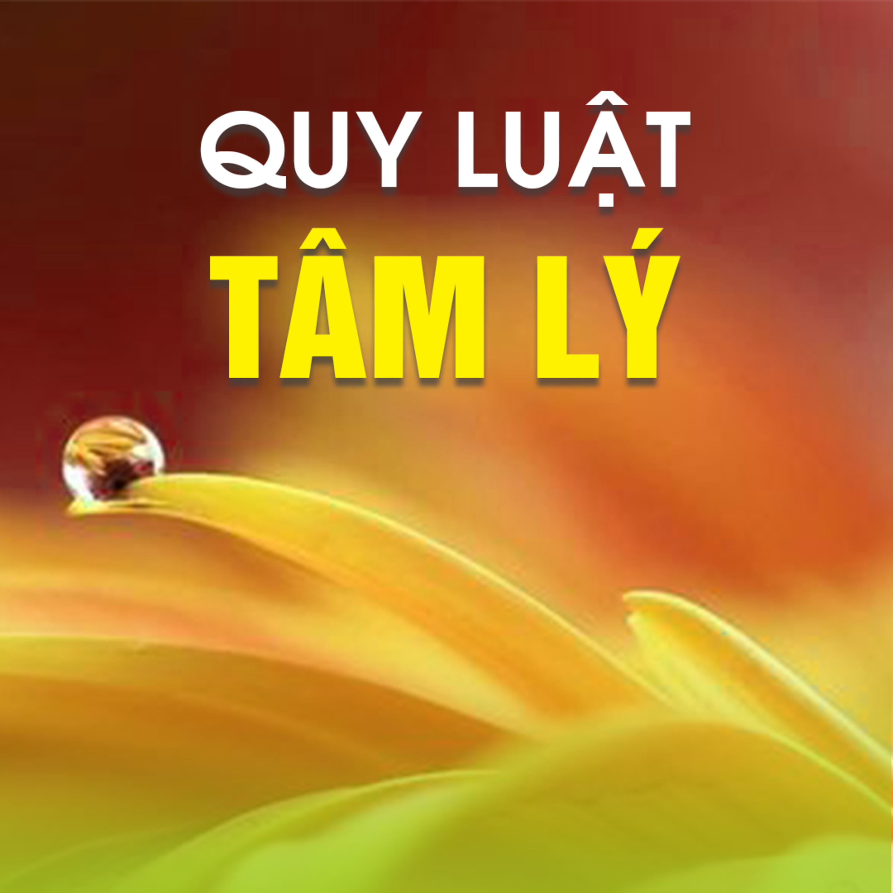 QUY LUẬT TÂM LÝ - Ngũ Uẩn 06B episode artwork