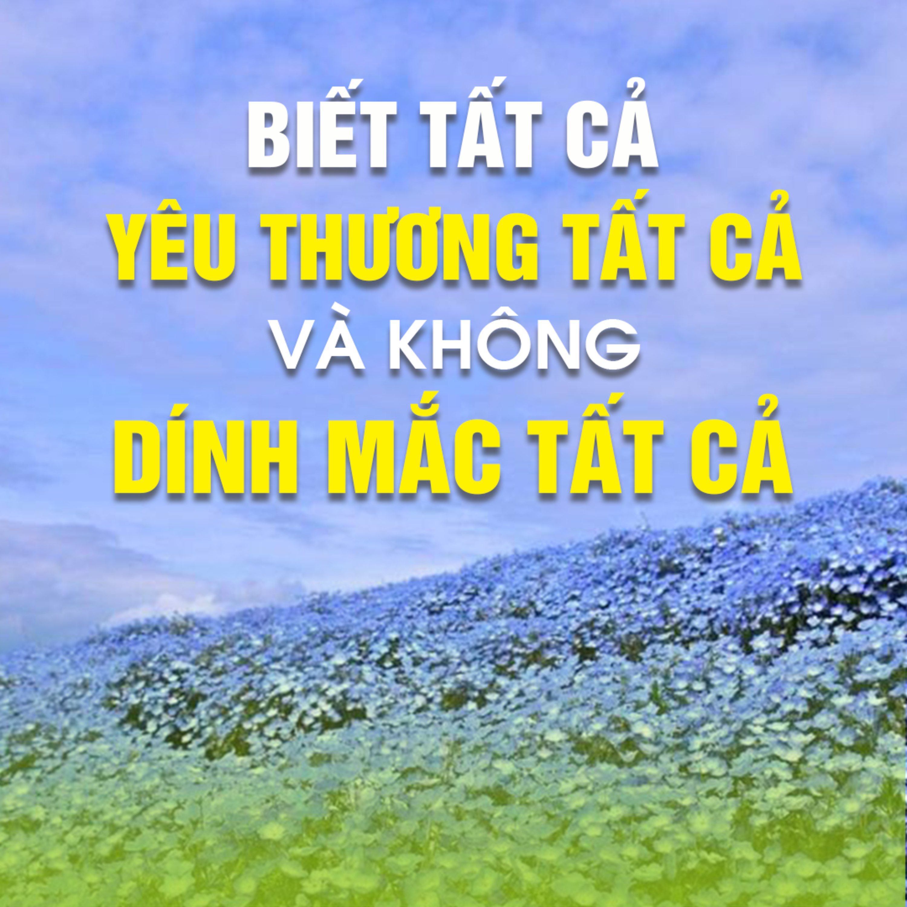 BIẾT TẤT CẢ, YÊU THƯƠNG TẤT CẢ VÀ KHÔNG DÍNH MẮC TẤT CẢ B episode artwork