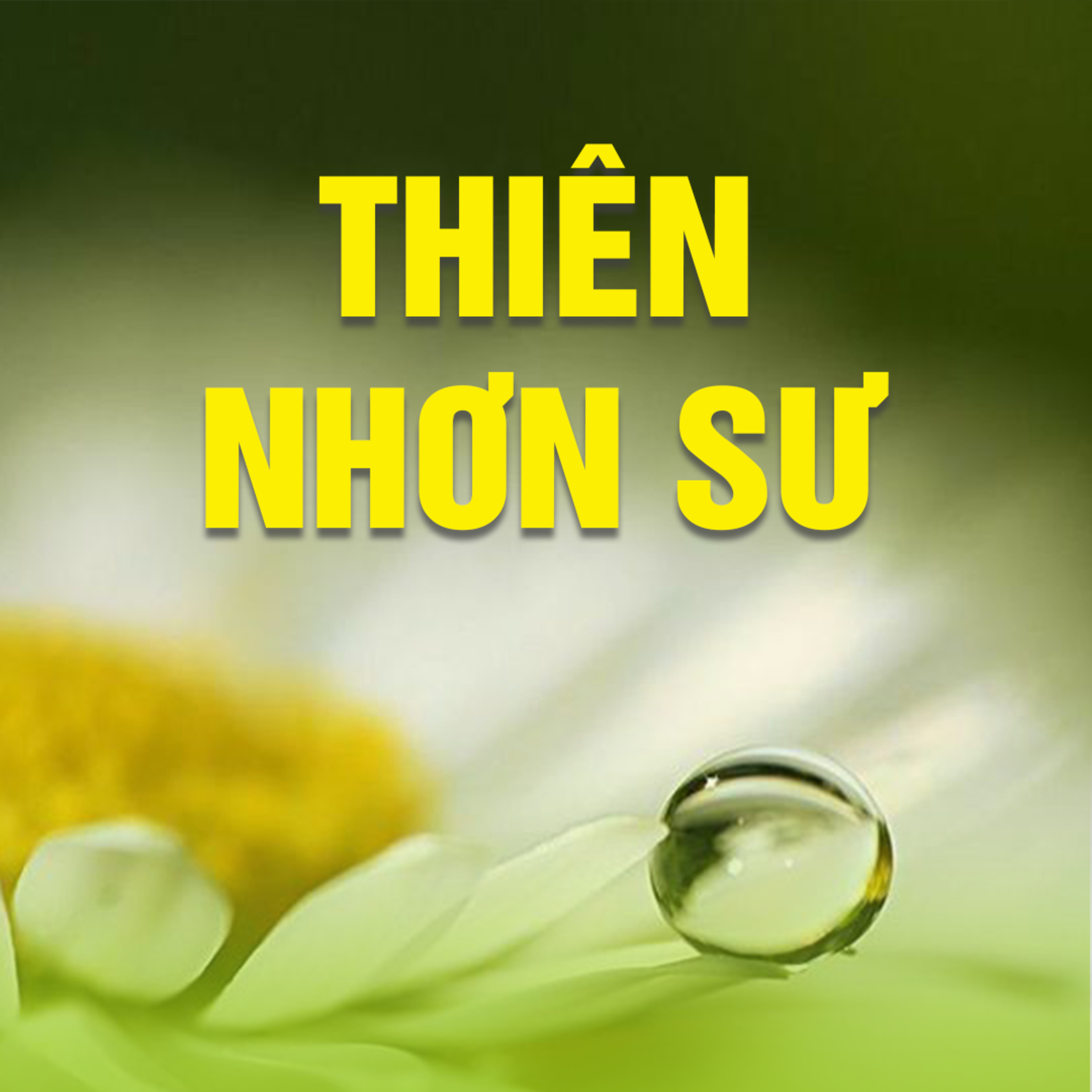 THIÊN NHƠN SƯ  episode artwork
