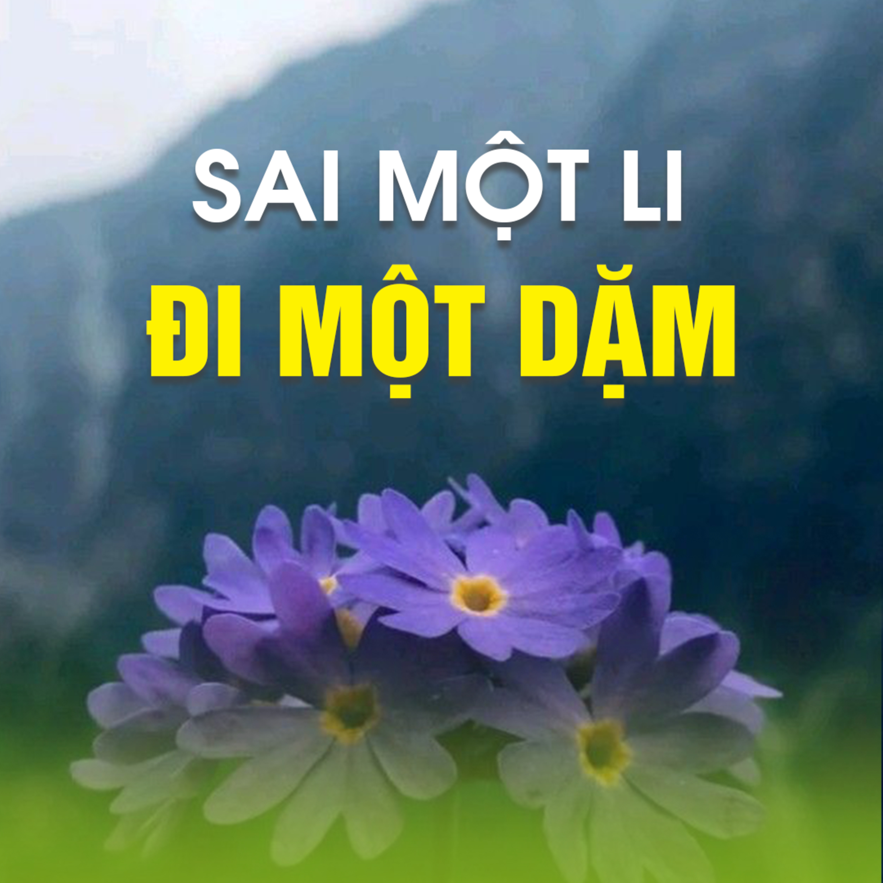 SAI MỘT LI ĐI MỘT DẶM A episode artwork