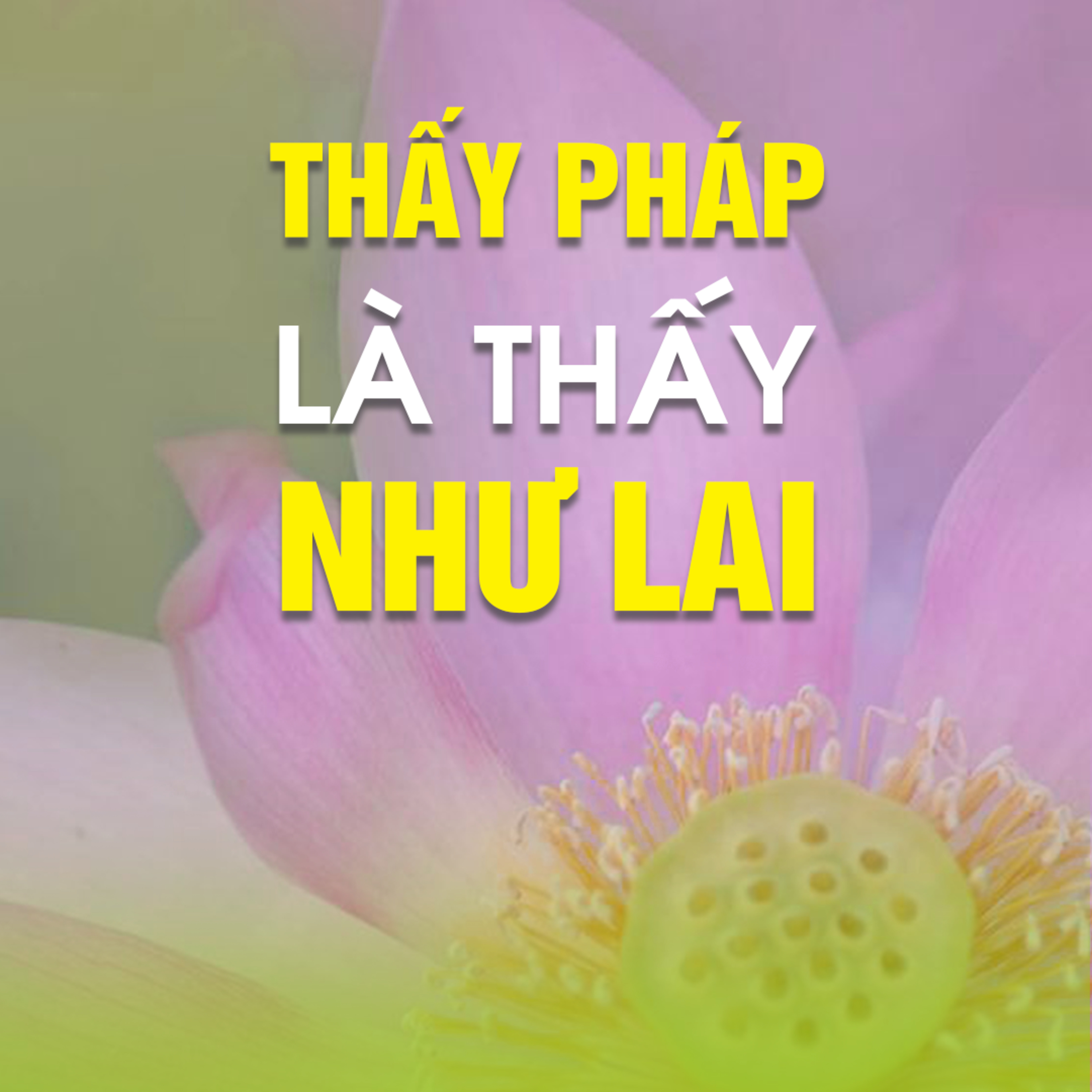 THẤY PHÁP LÀ THẤY NHƯ LAI B - Pháp Cú 79  episode artwork